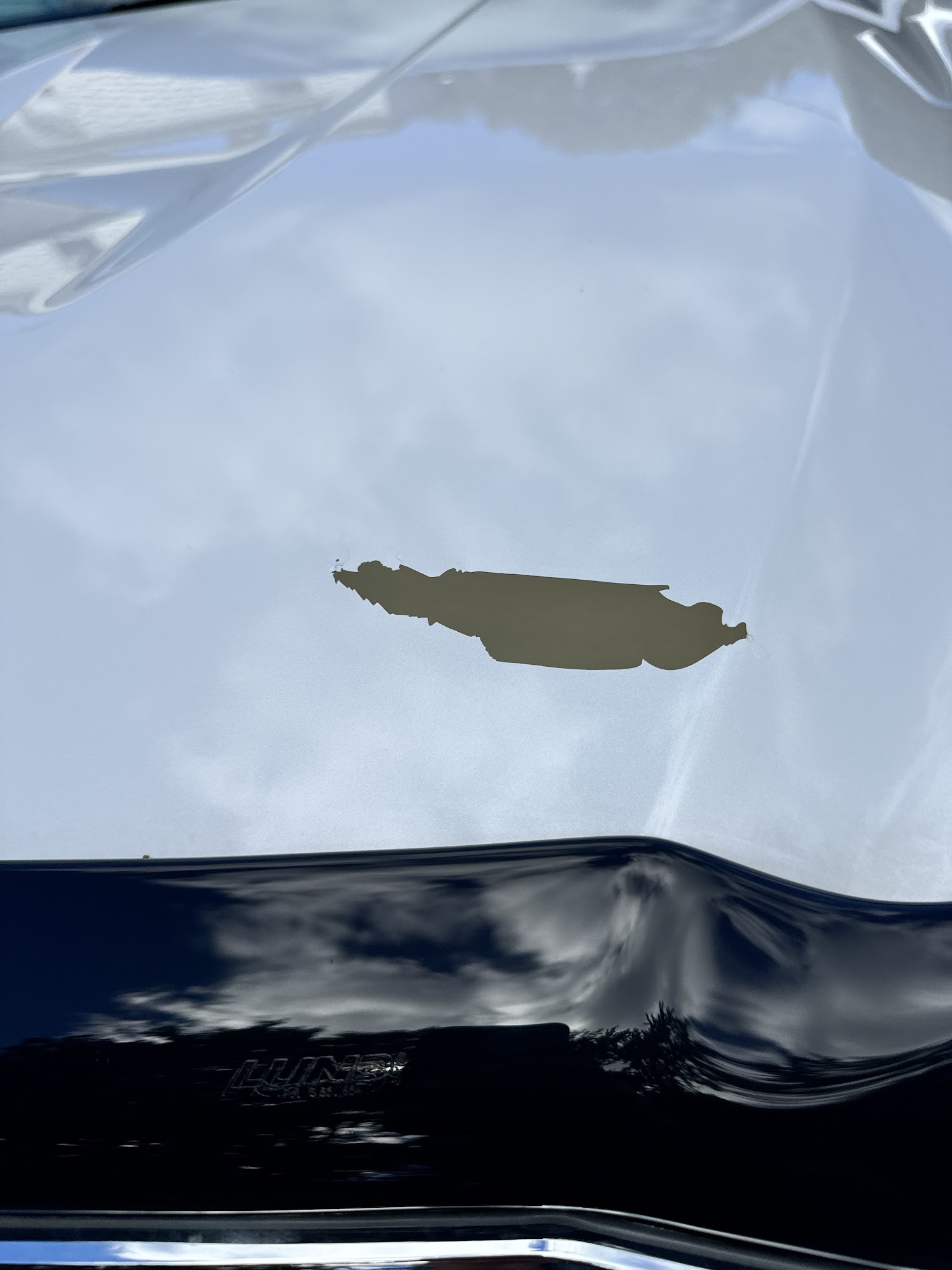 Quick 'N Clean Car Wash Fitchburg