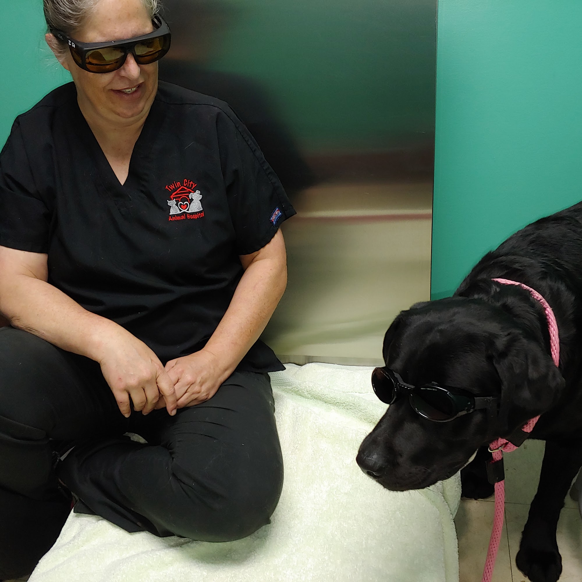 Twin City Animal Hospital Fitchburg