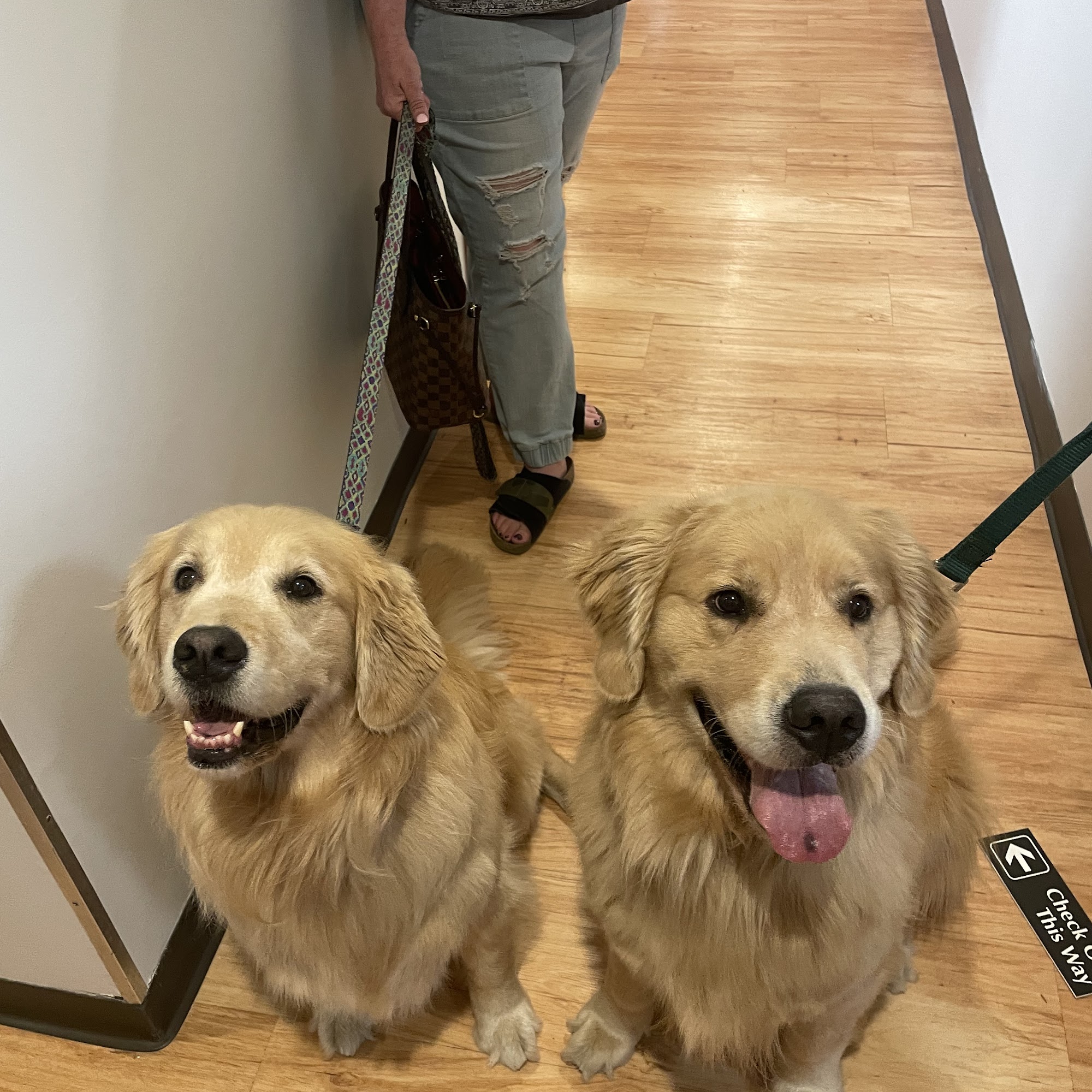 Framingham Animal Hospital Framingham