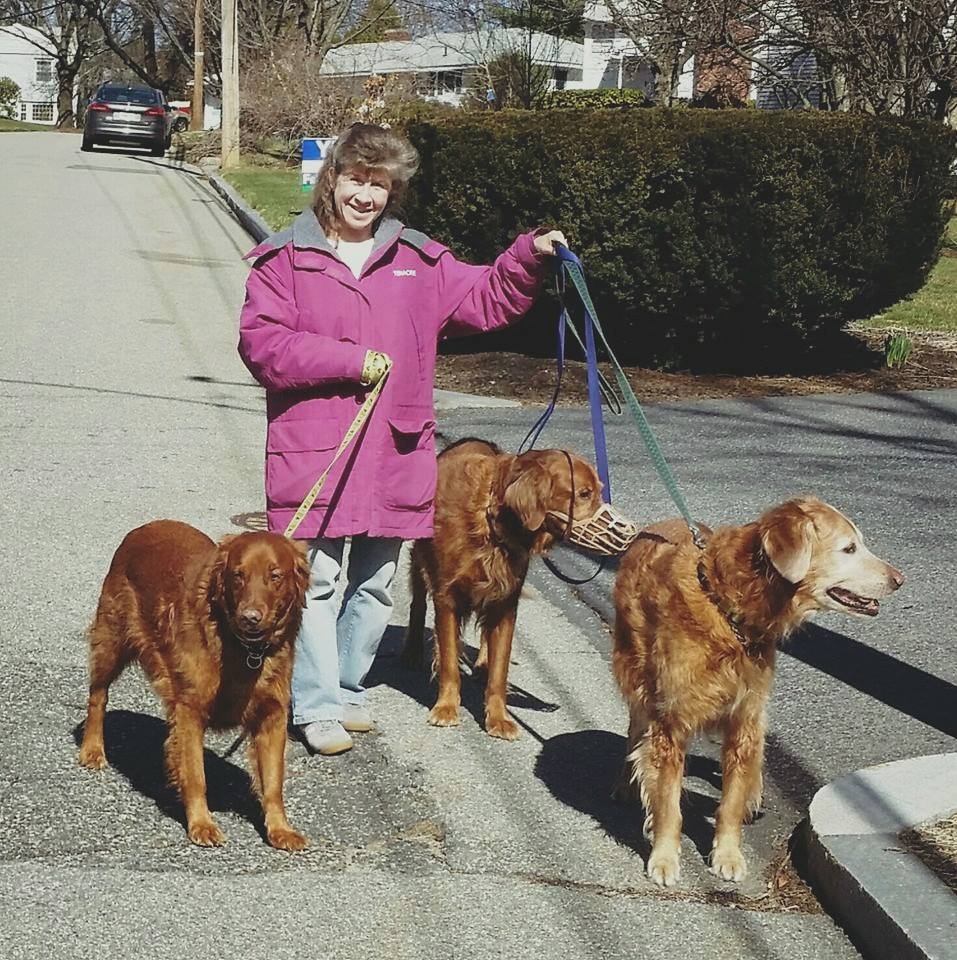 Tammy's Pet Sitting Framingham