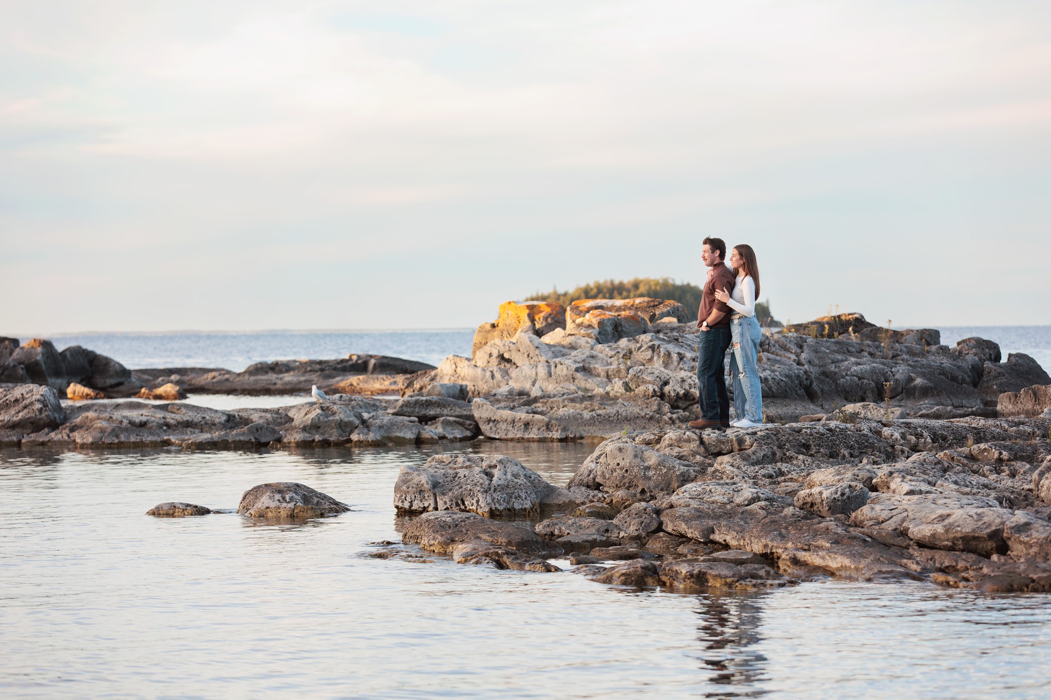 Flutter By Moments Photography