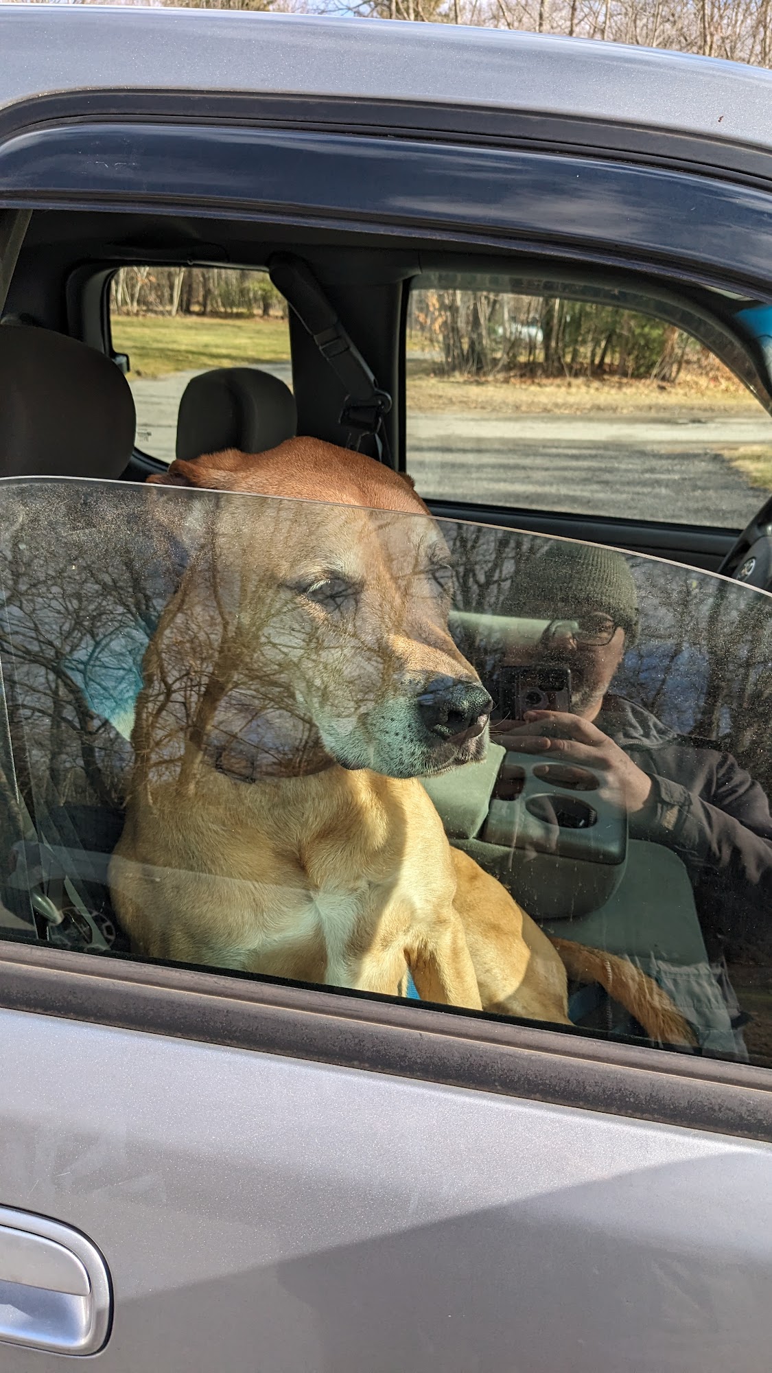 Gardner Animal Shelter Gardner