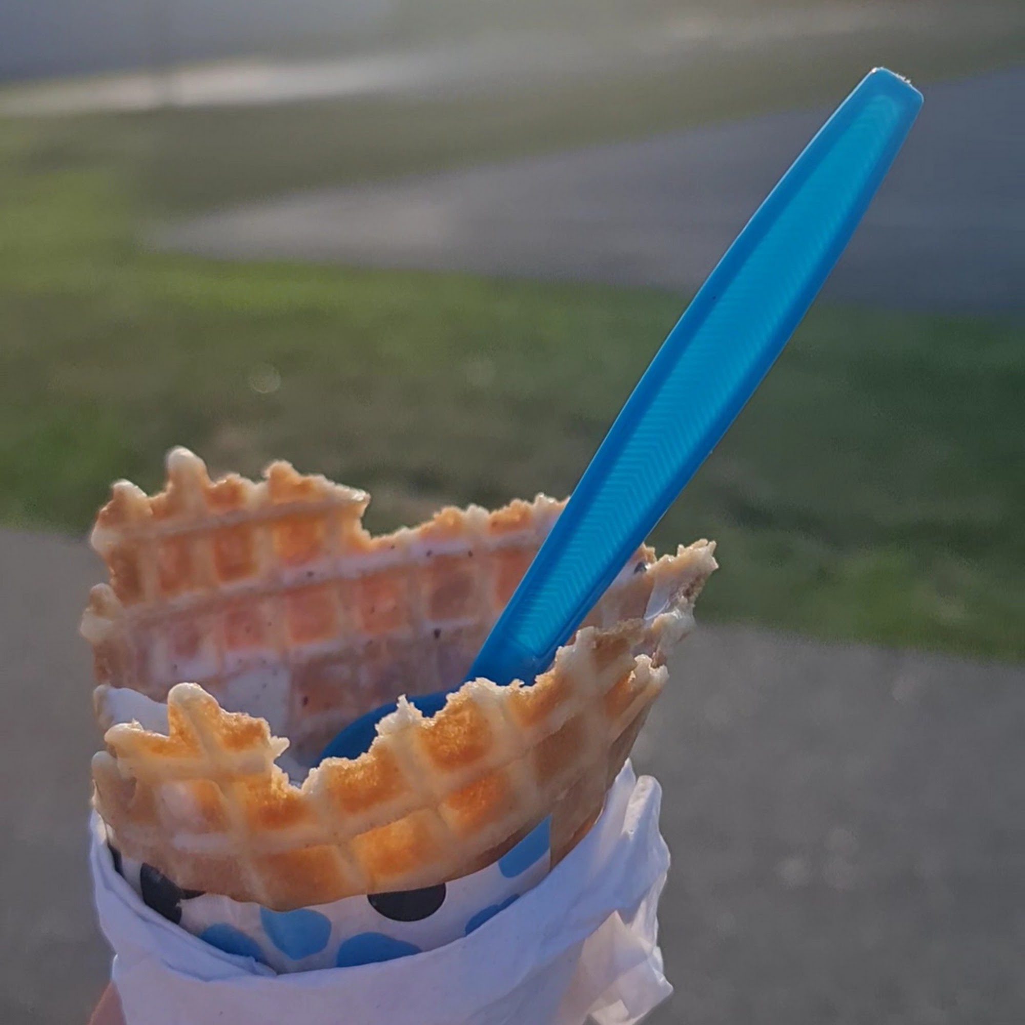 Holy Cow Ice Cream Cafe Gloucester