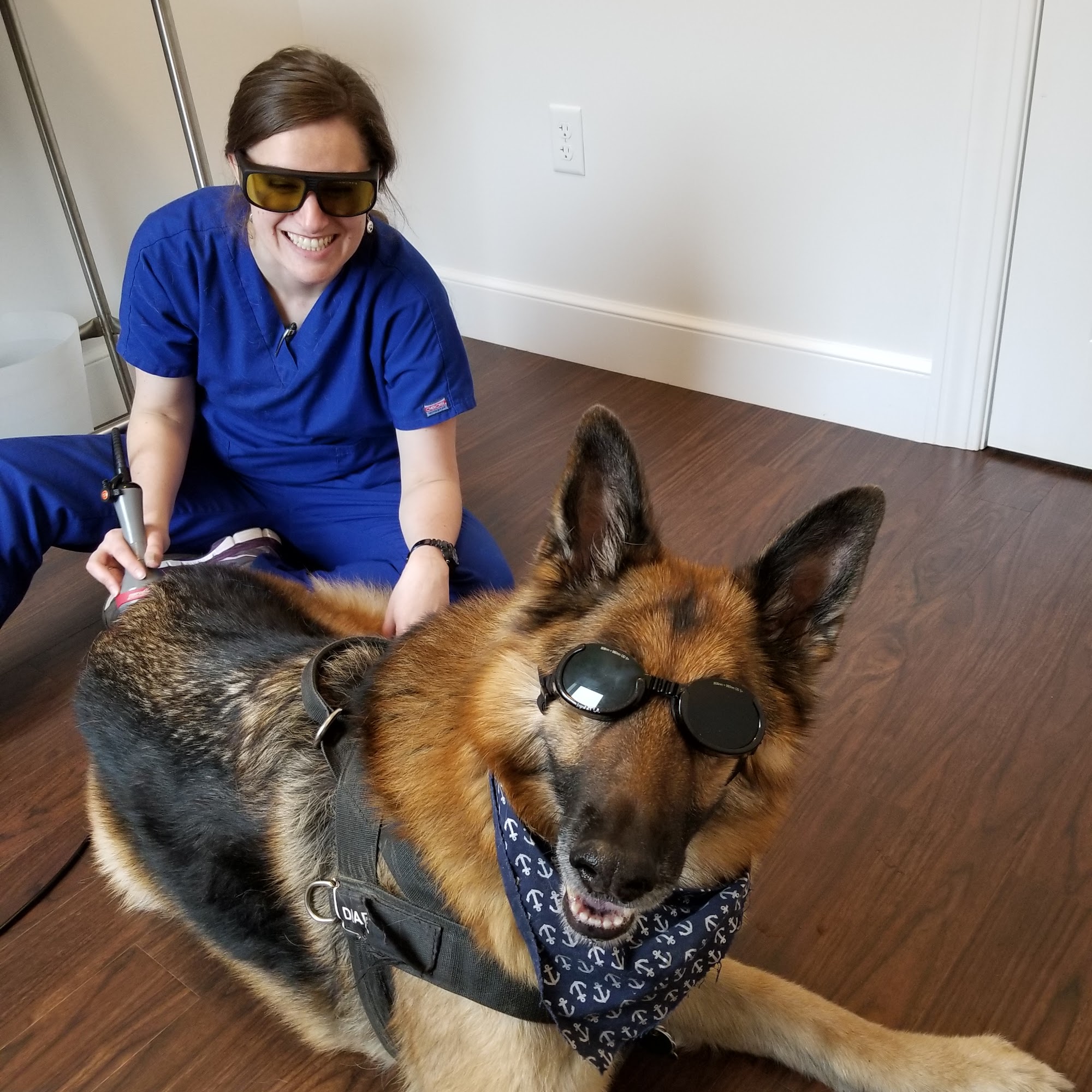 SeaPort Veterinary Hospital Gloucester