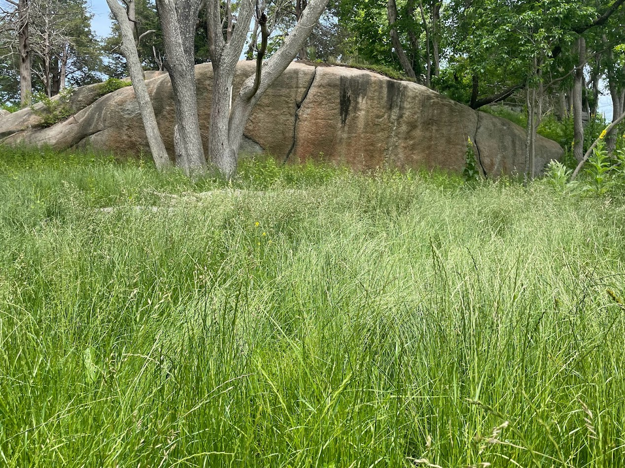 Photo credit: bestprosintown