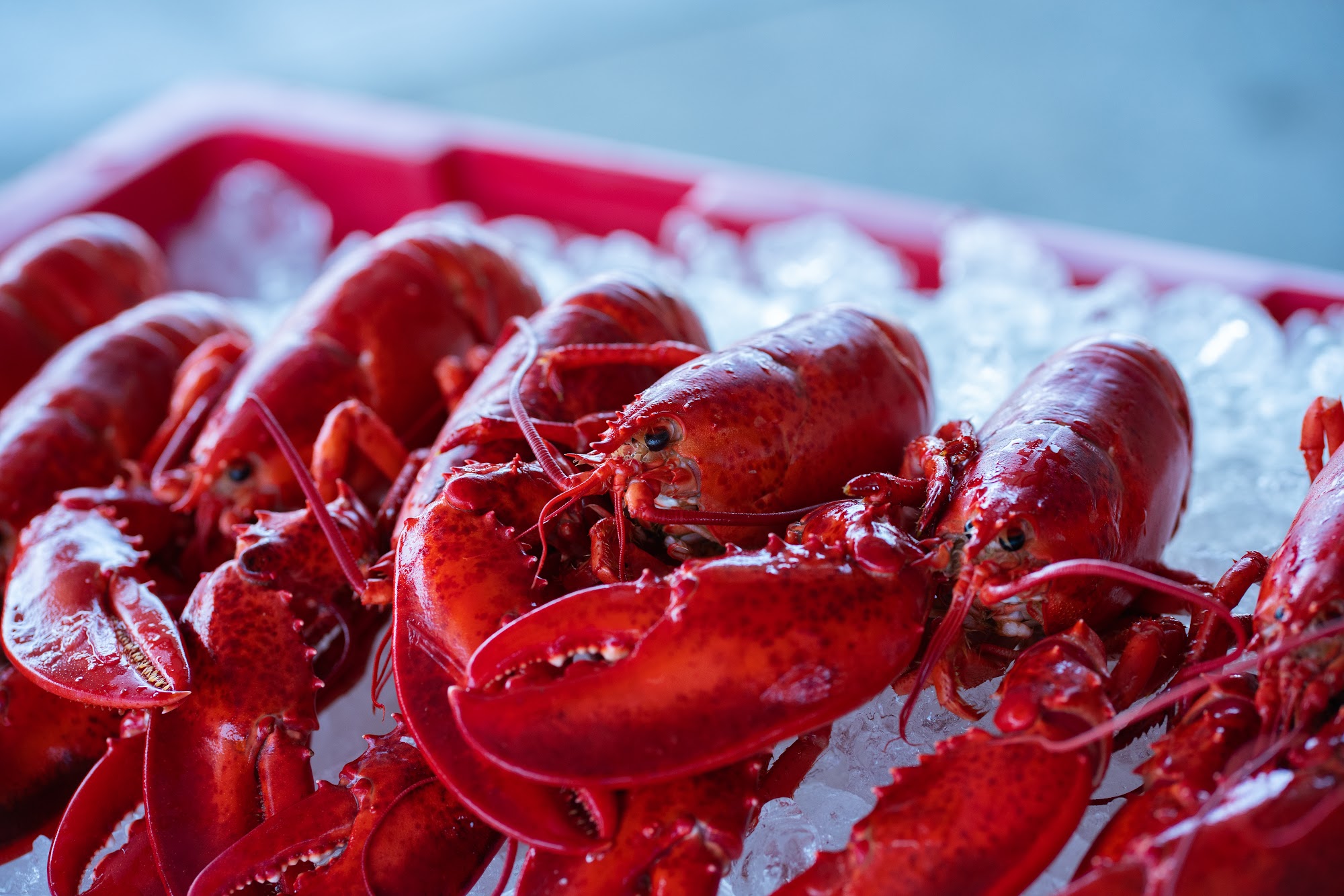 Cape Ann Lobstermen Menu