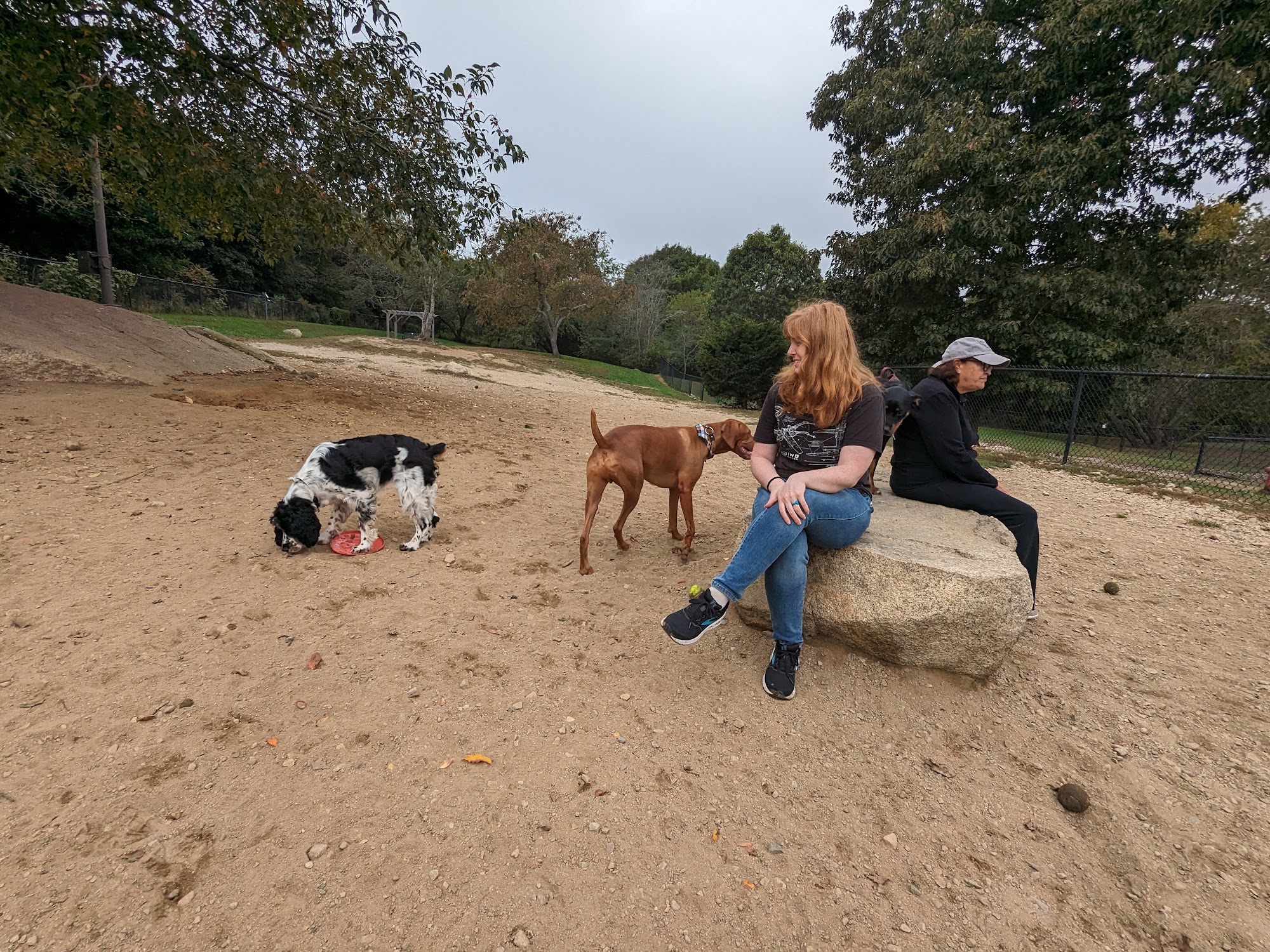 Gloucester Dog Park Gloucester