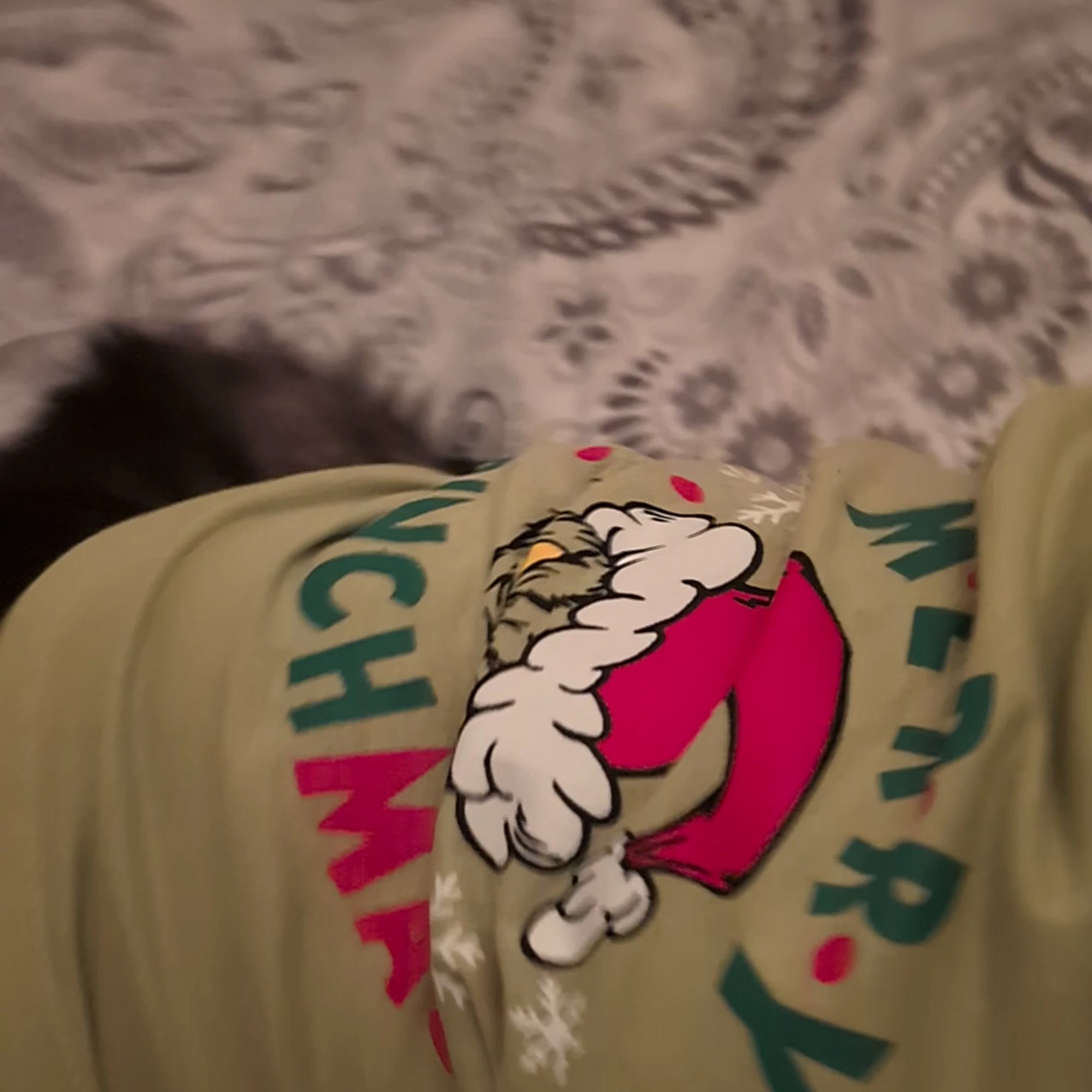 Foster Hospital for Small Animals Grafton