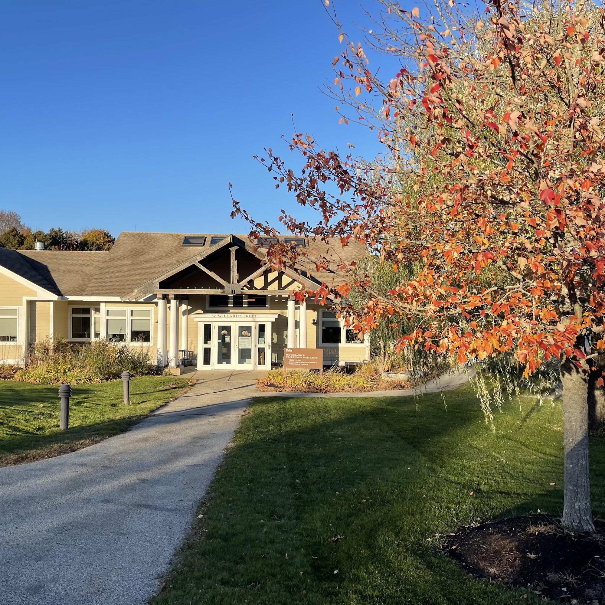 Tufts Wildlife Clinic Grafton