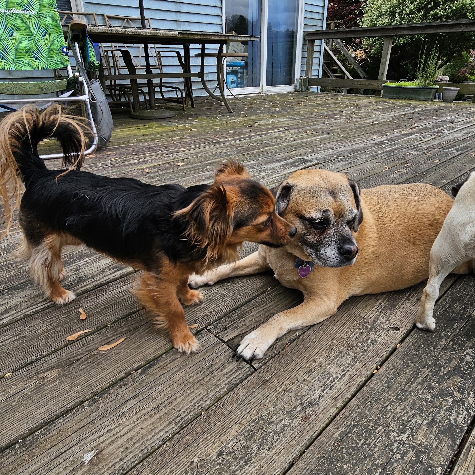 Countryside Animal Hospital Granby