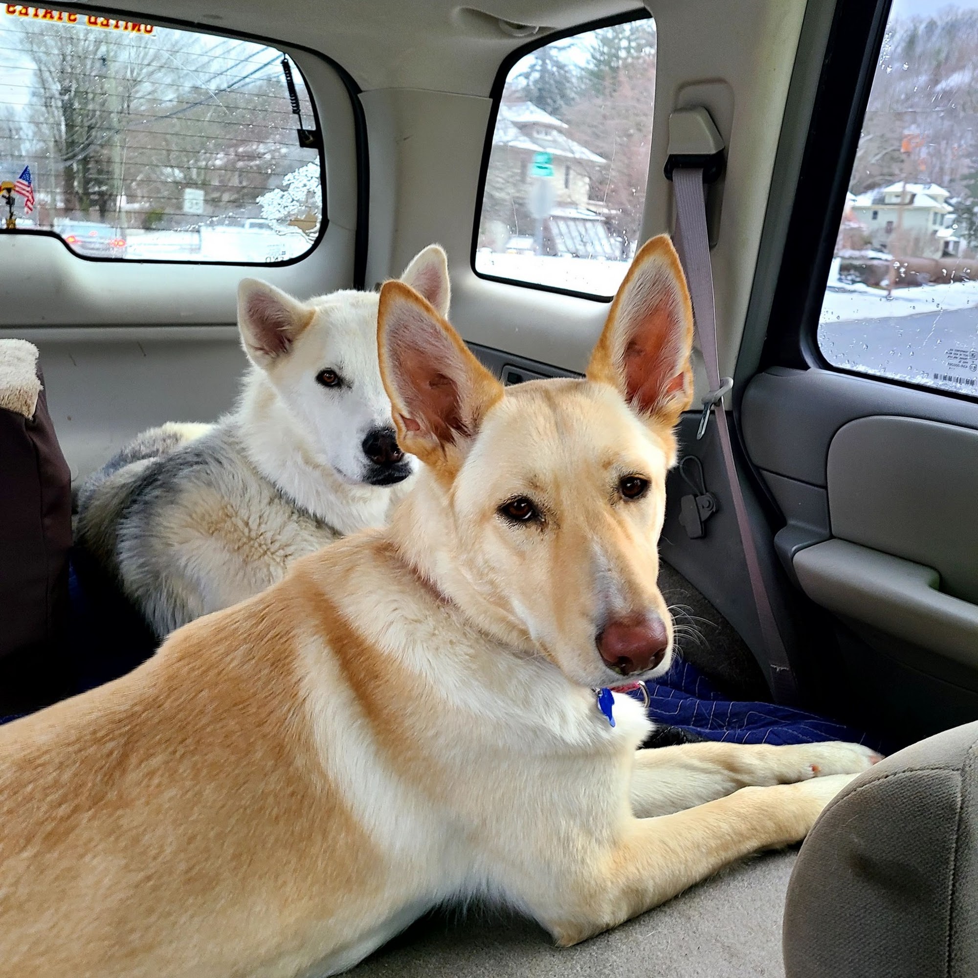 Pioneer Valley Veterinary Hospital, Inc Greenfield