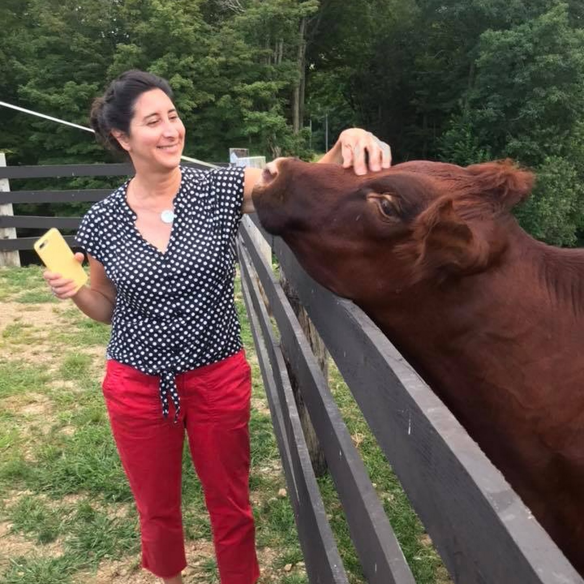 Franklin County Chamber of Commerce & Regional Tourism Council Greenfield