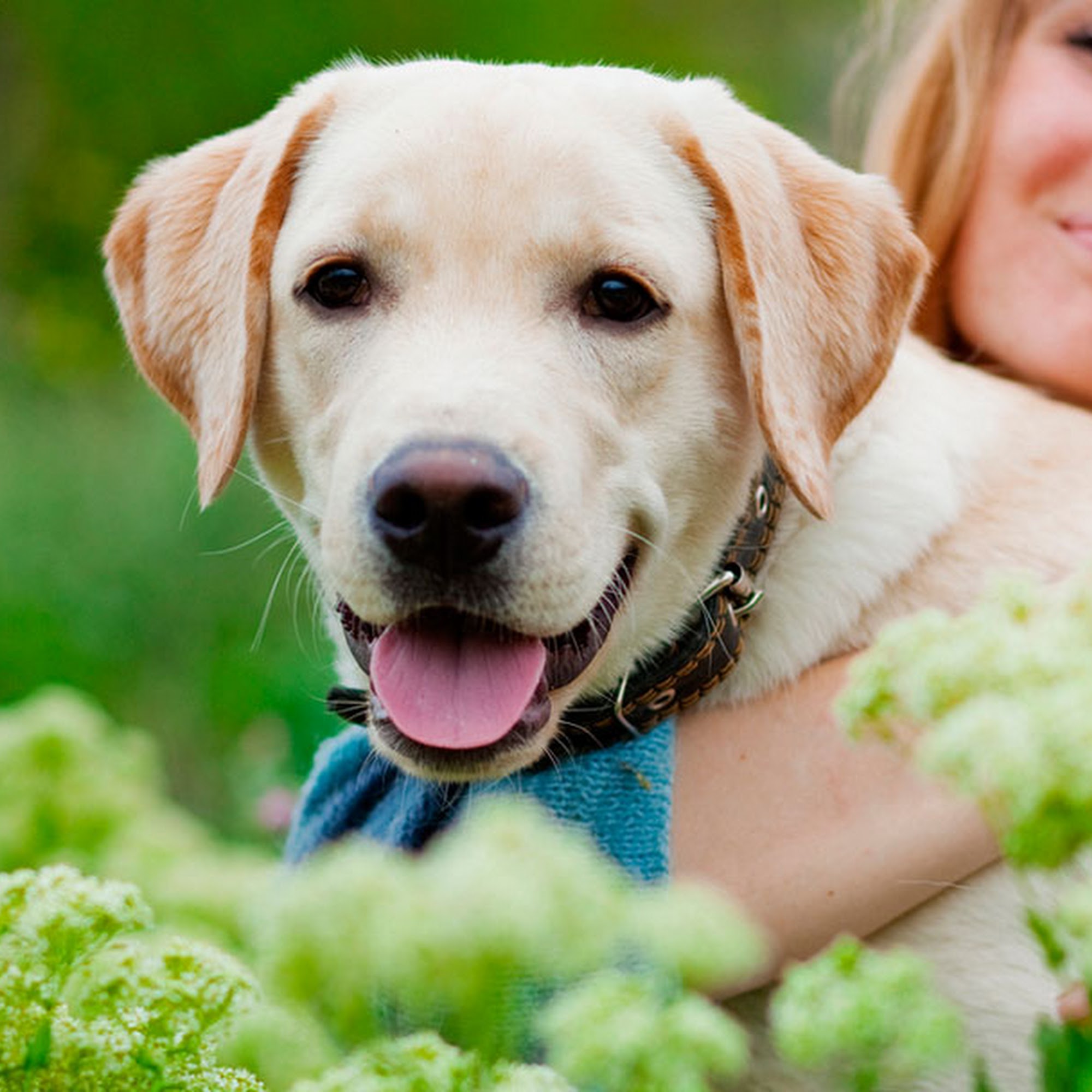 Starwood Veterinary Clinic Groton