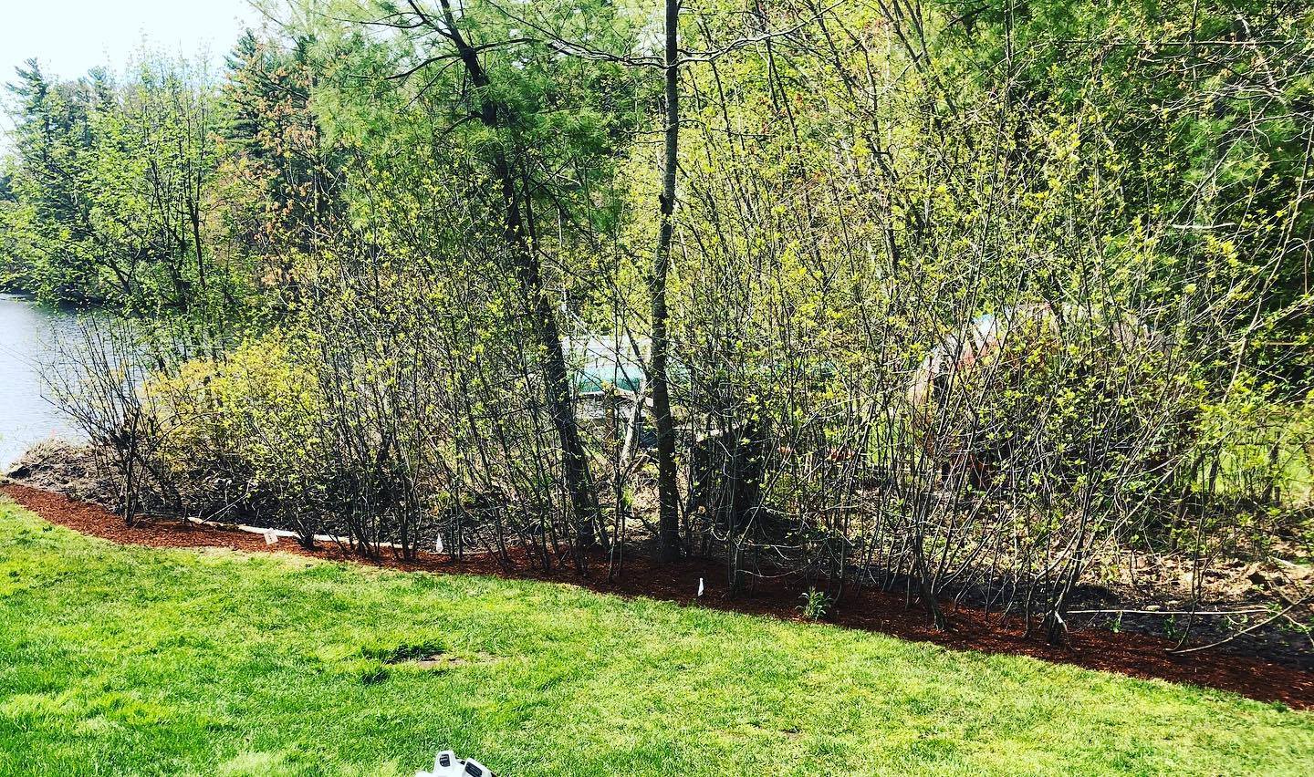 Flynn Property Services