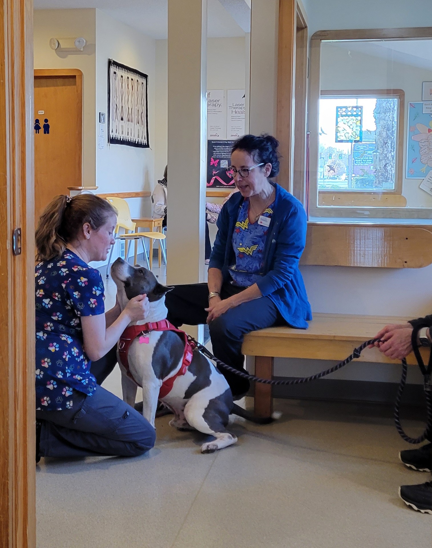 Riverbend Animal Hospital Hadley