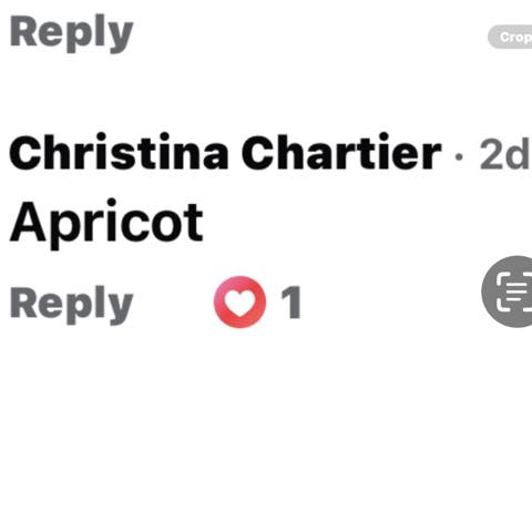 Hadley Scoop at the Silos Hadley