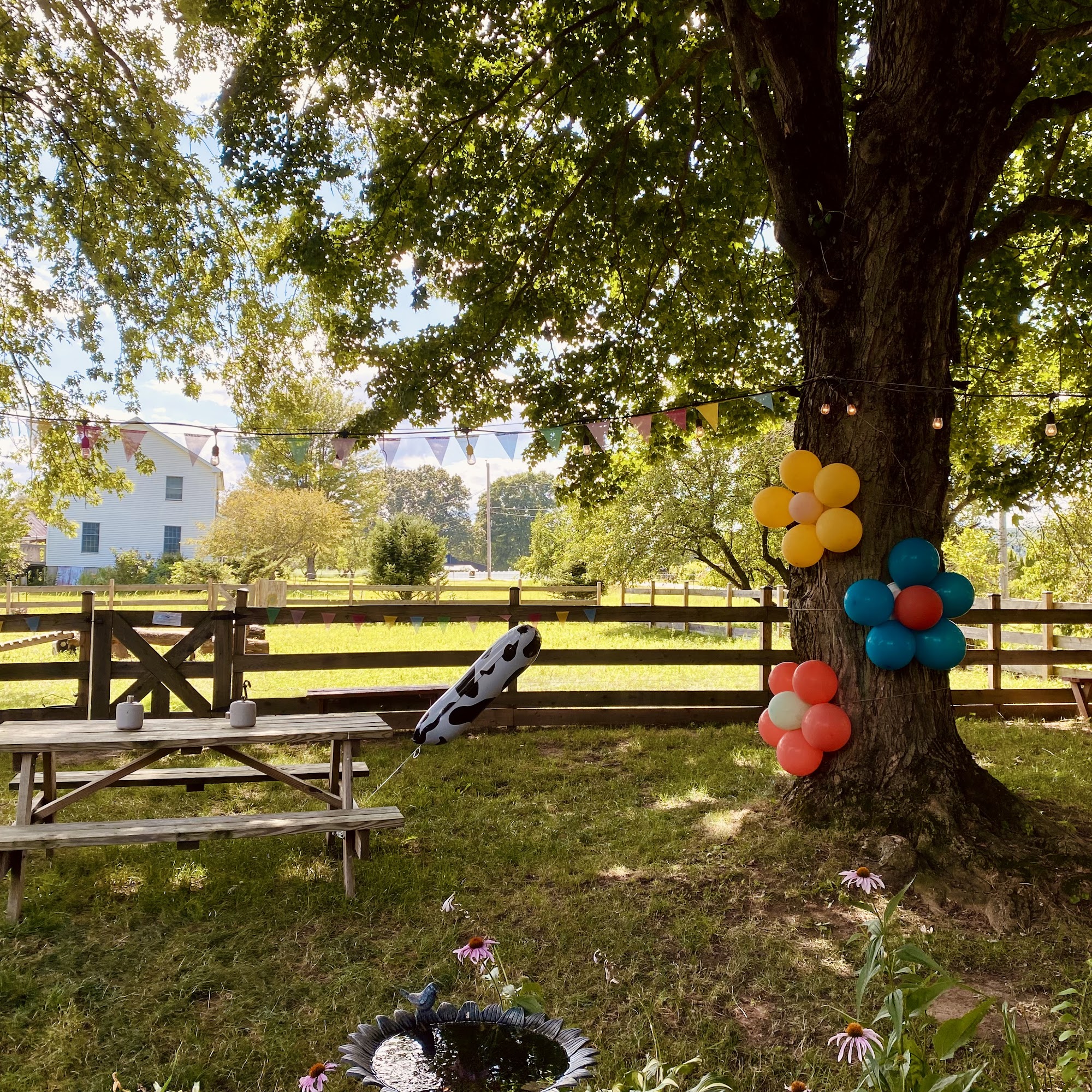 Littlefield Farm Hadley