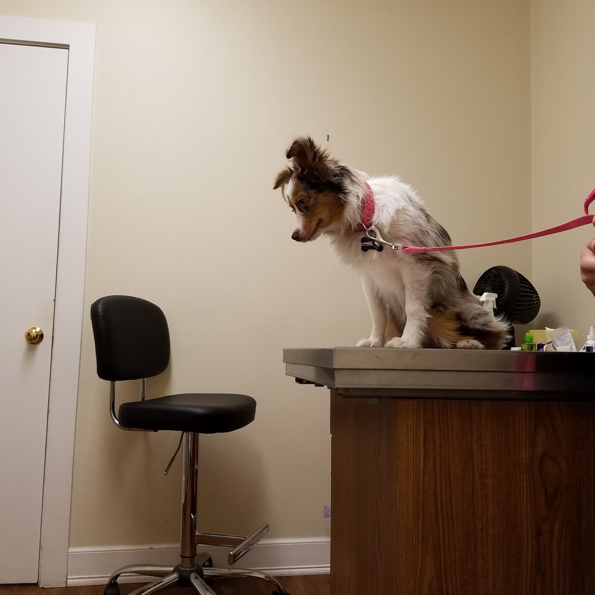 Halifax Veterinary Services Halifax