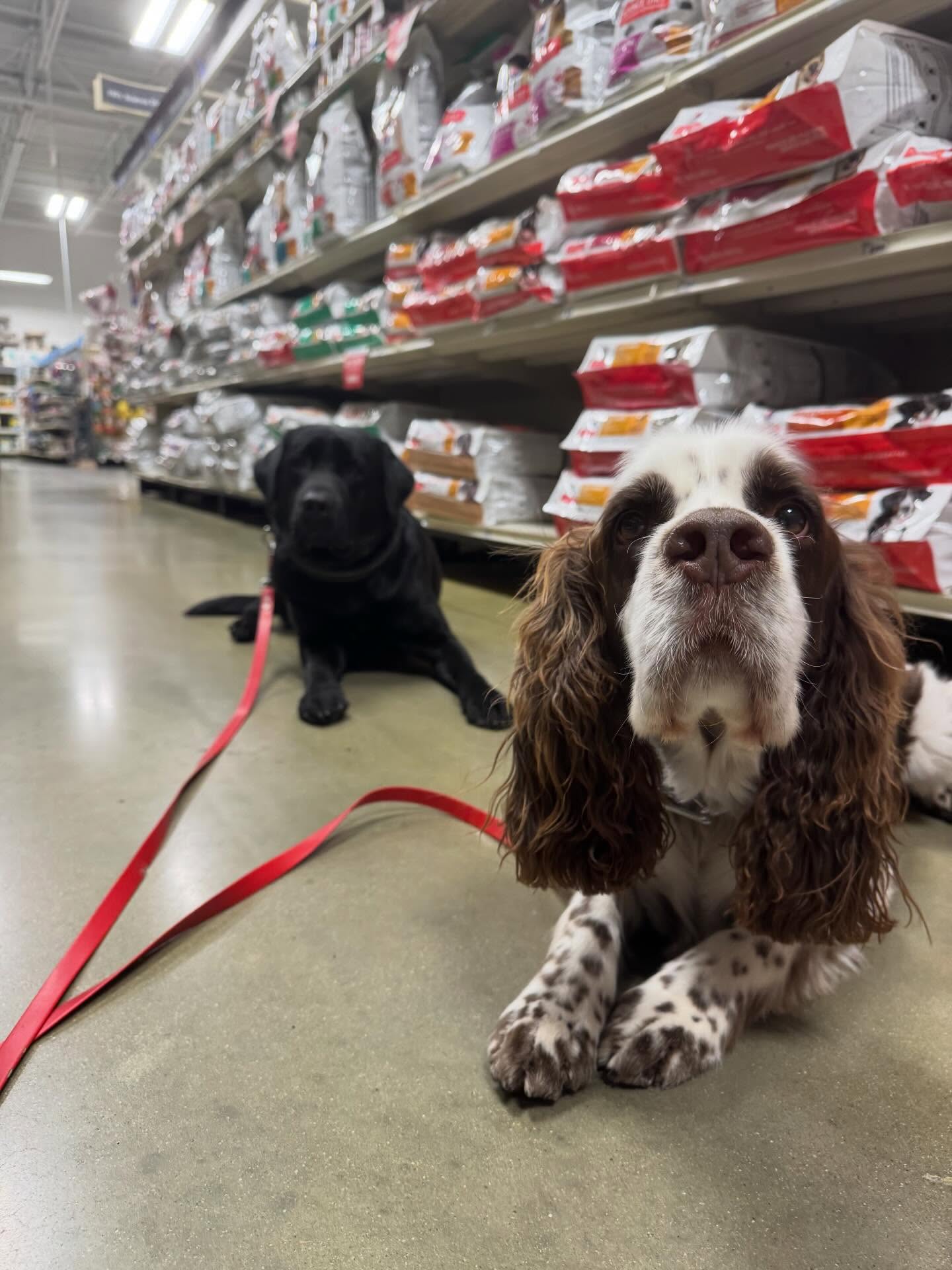 Five Rings Day School