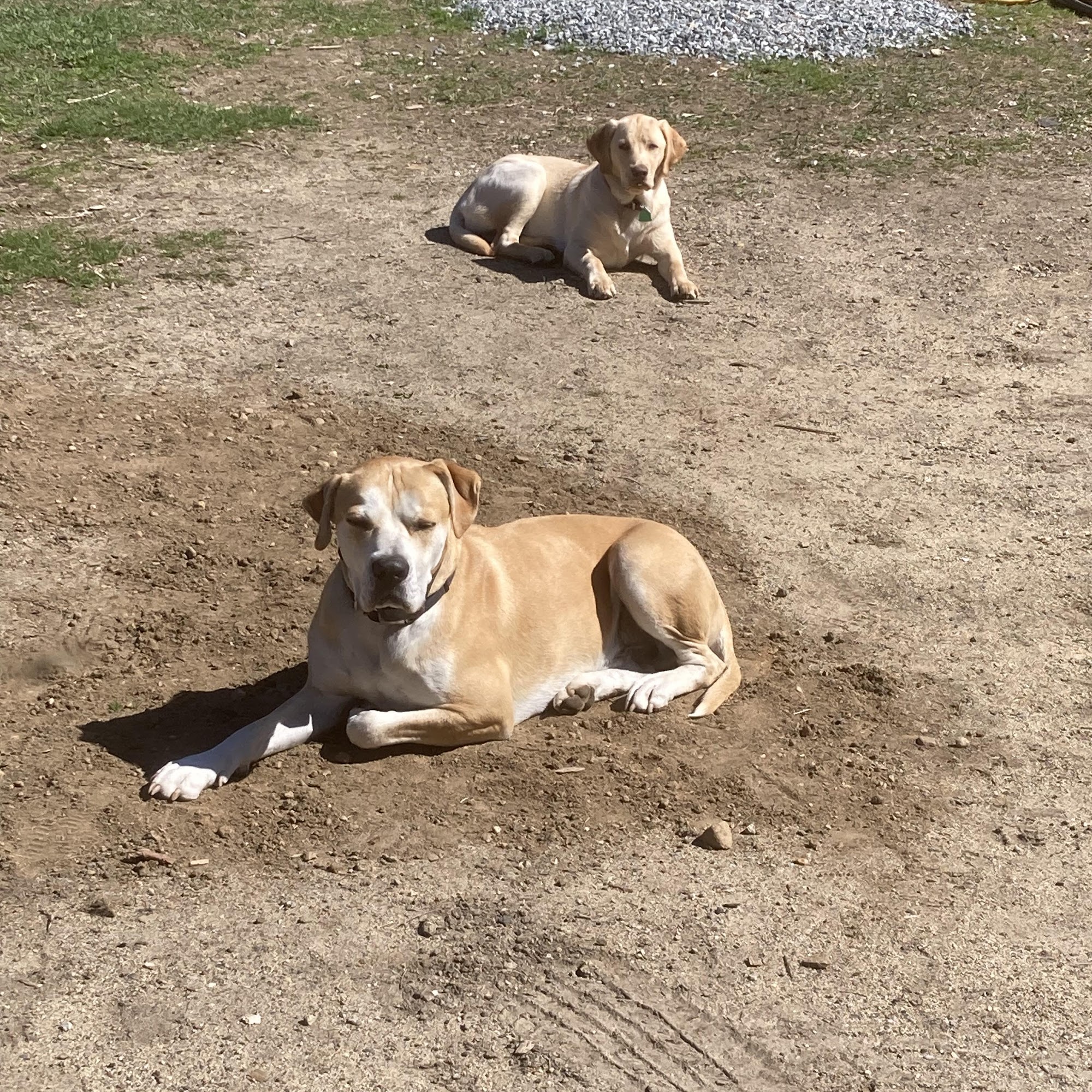 Hardwick Pond Vet Center Hardwick