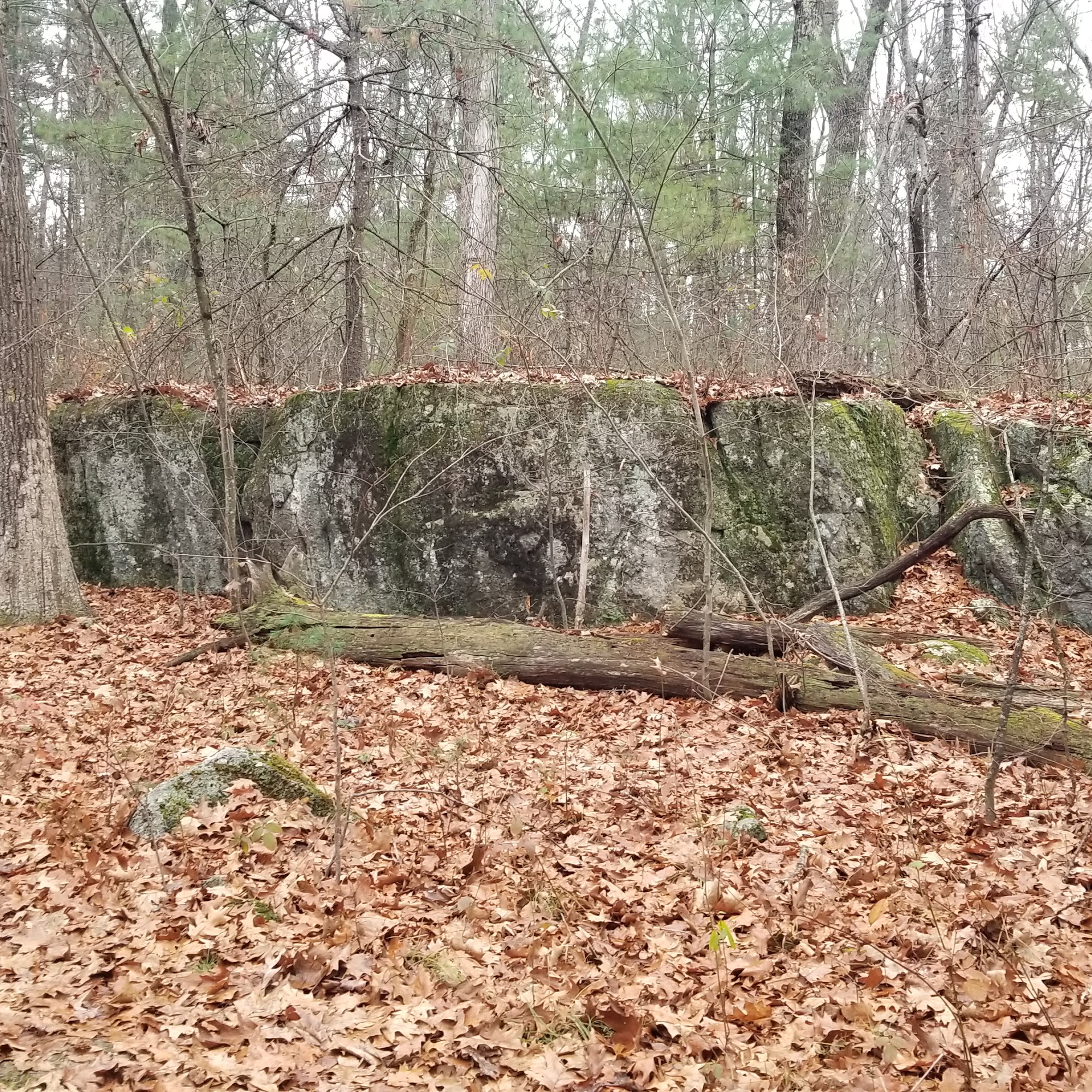 Holy Hill Conservation Area Harvard