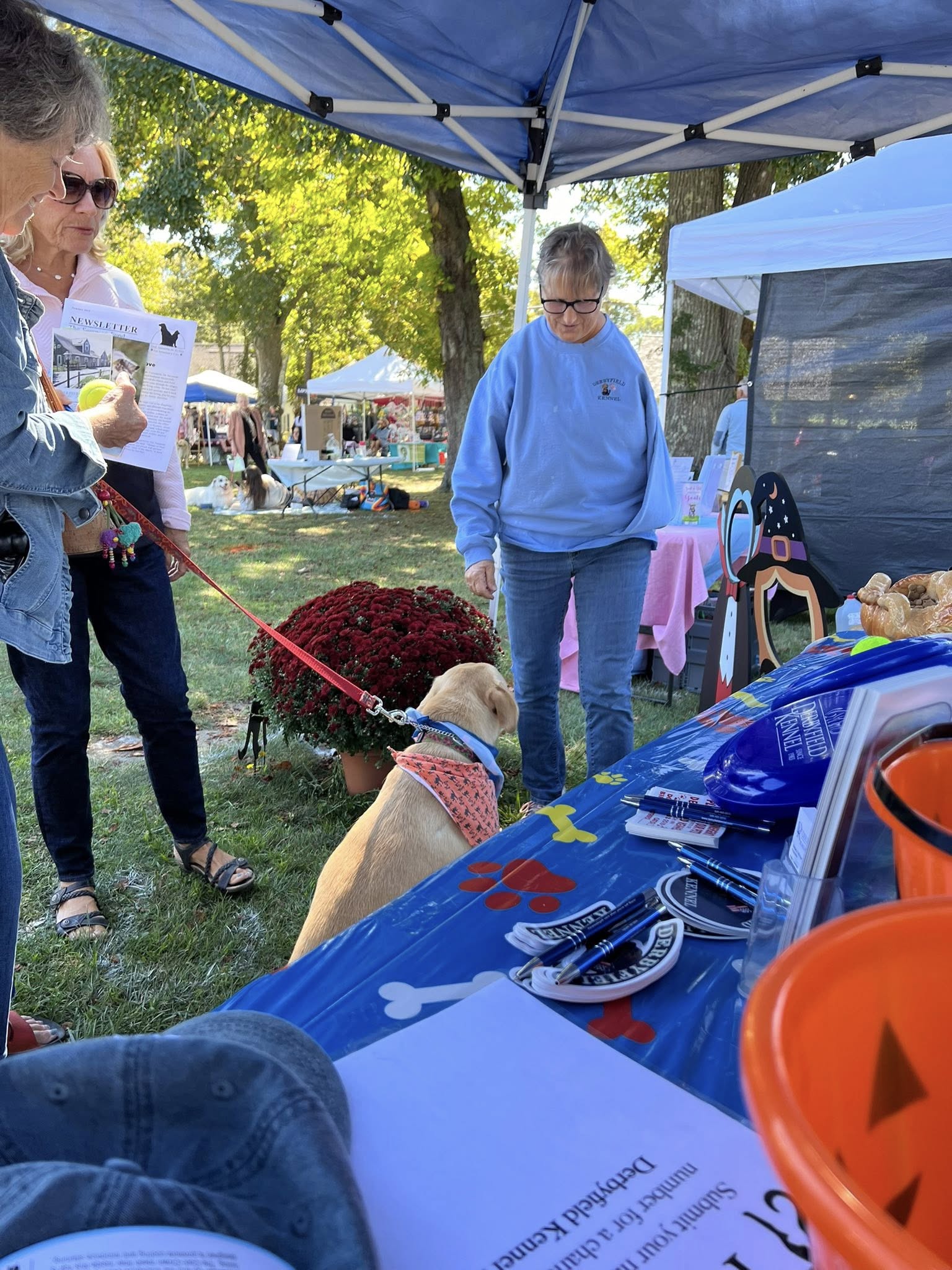 Derbyfield Kennel Harwich