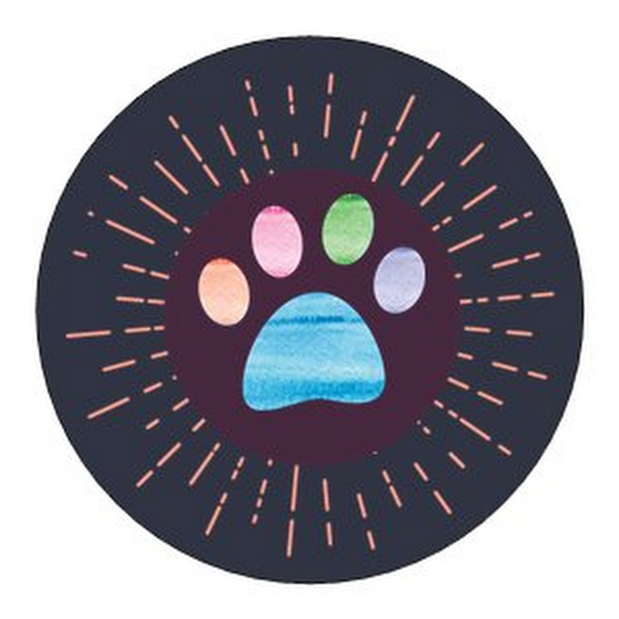 Spark The Bark! Mobile Cat and Dog Grooming Harwich