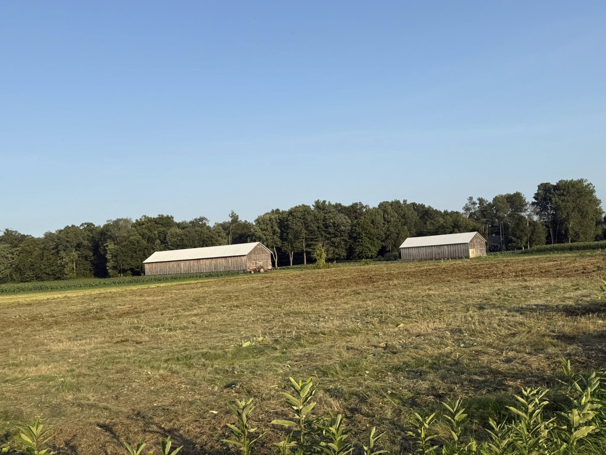 Shea Landscaping LLC