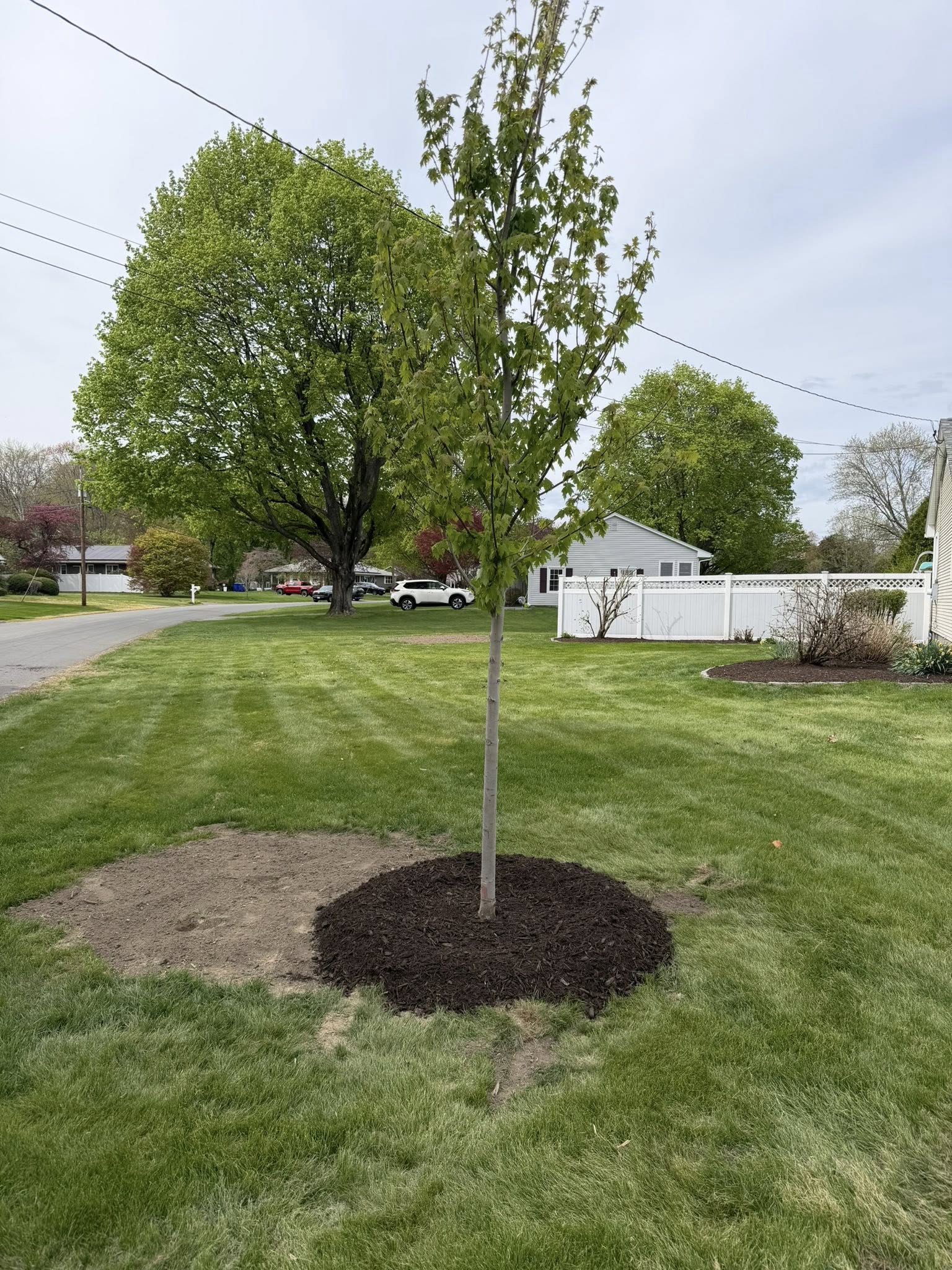 Shea Landscaping LLC