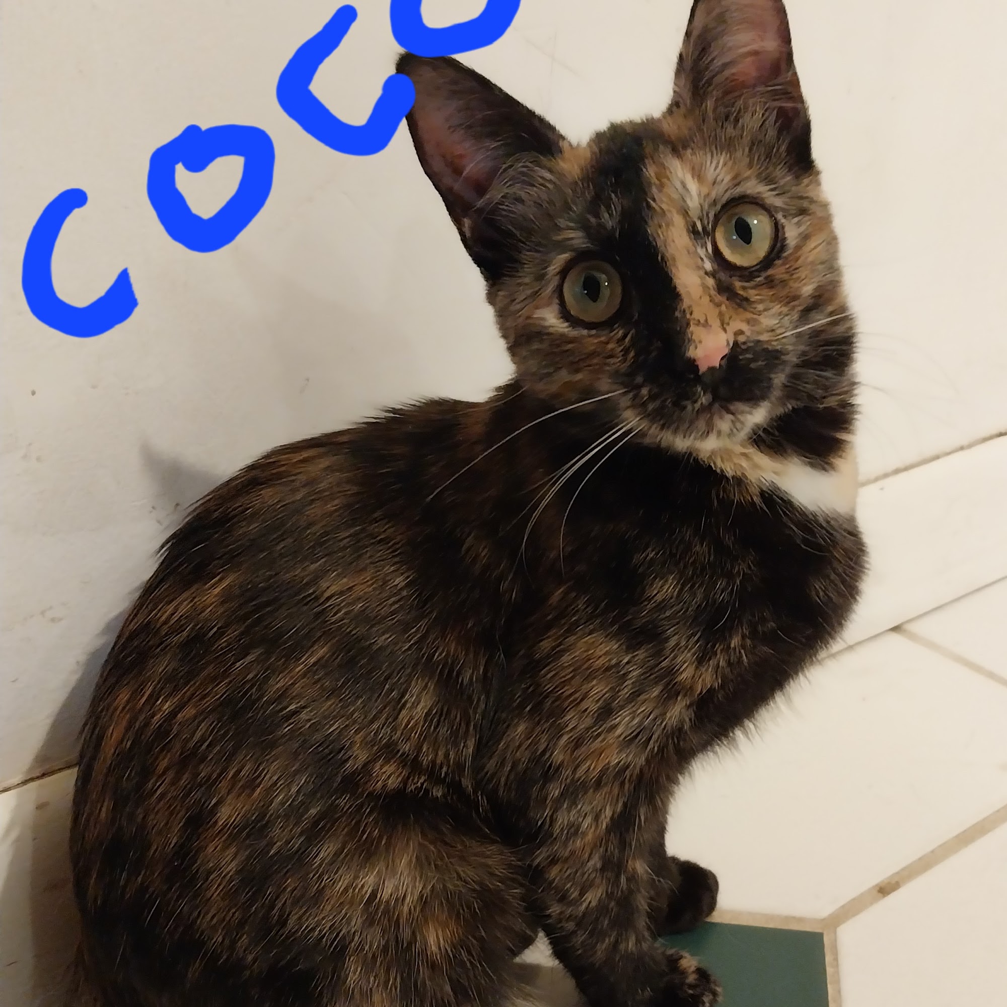 Riverside Veterinary Clinic Haverhill