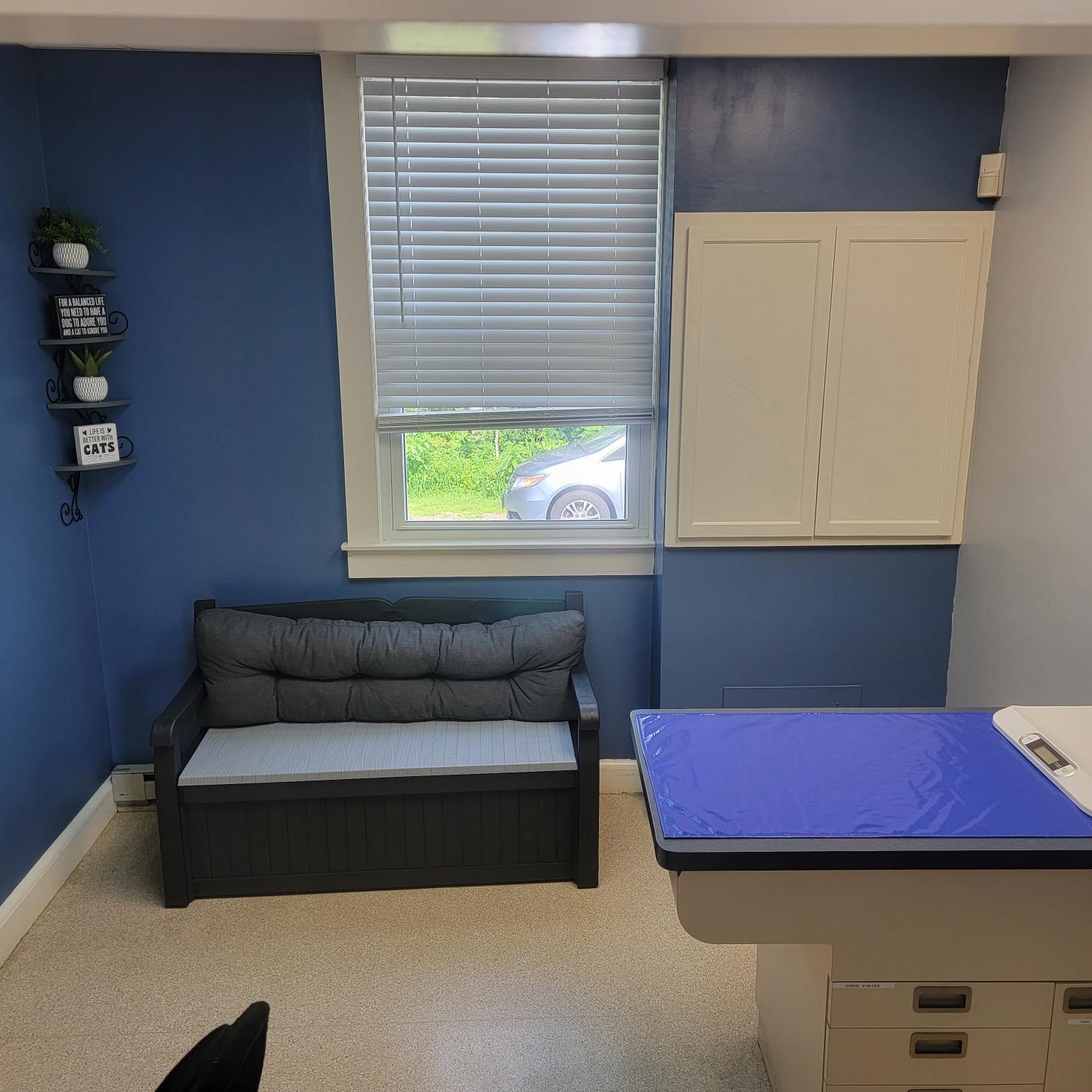 Have A Heart Animal Hospital, A Thrive Pet Healthcare Partner Haverhill