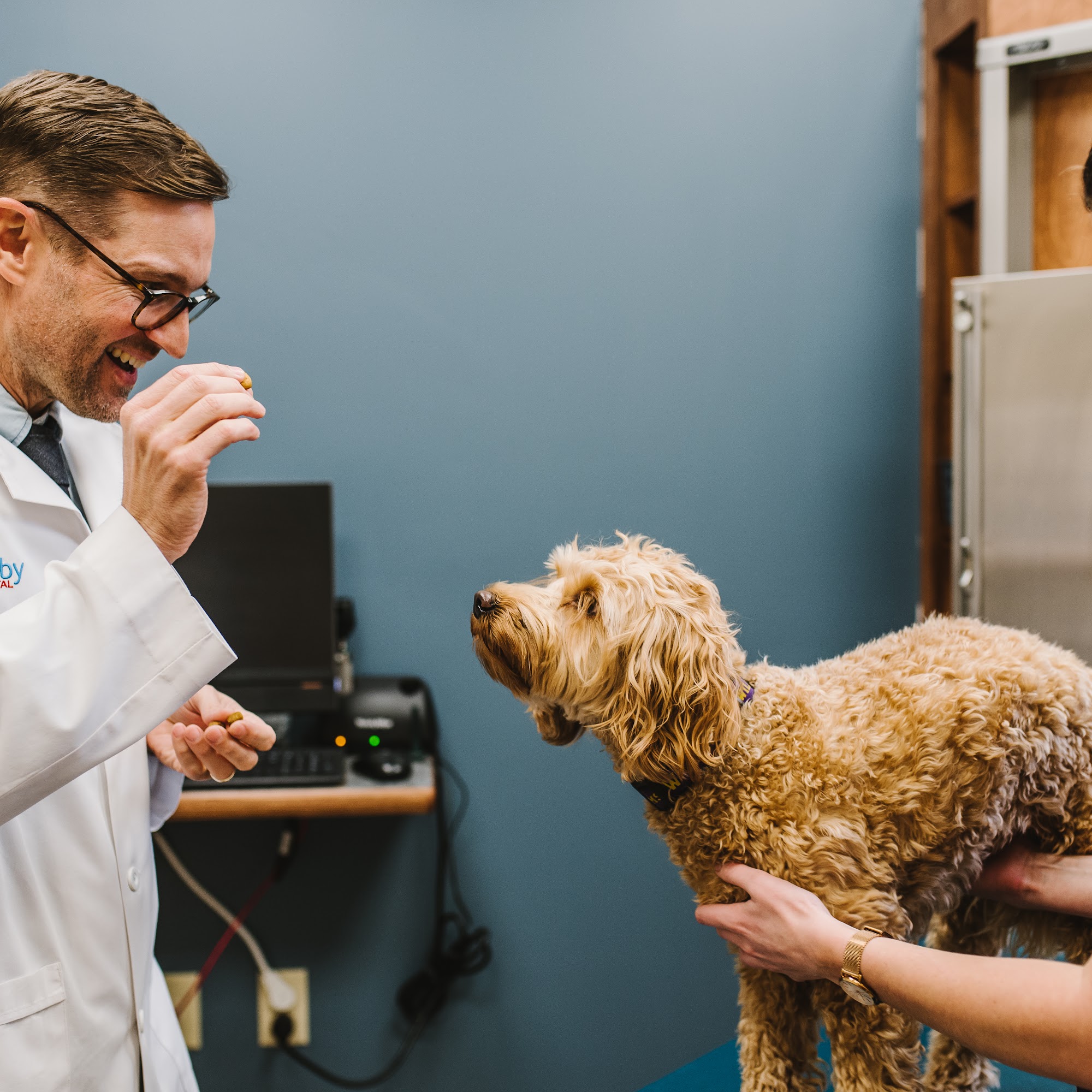 Old Derby Animal Hospital Hingham