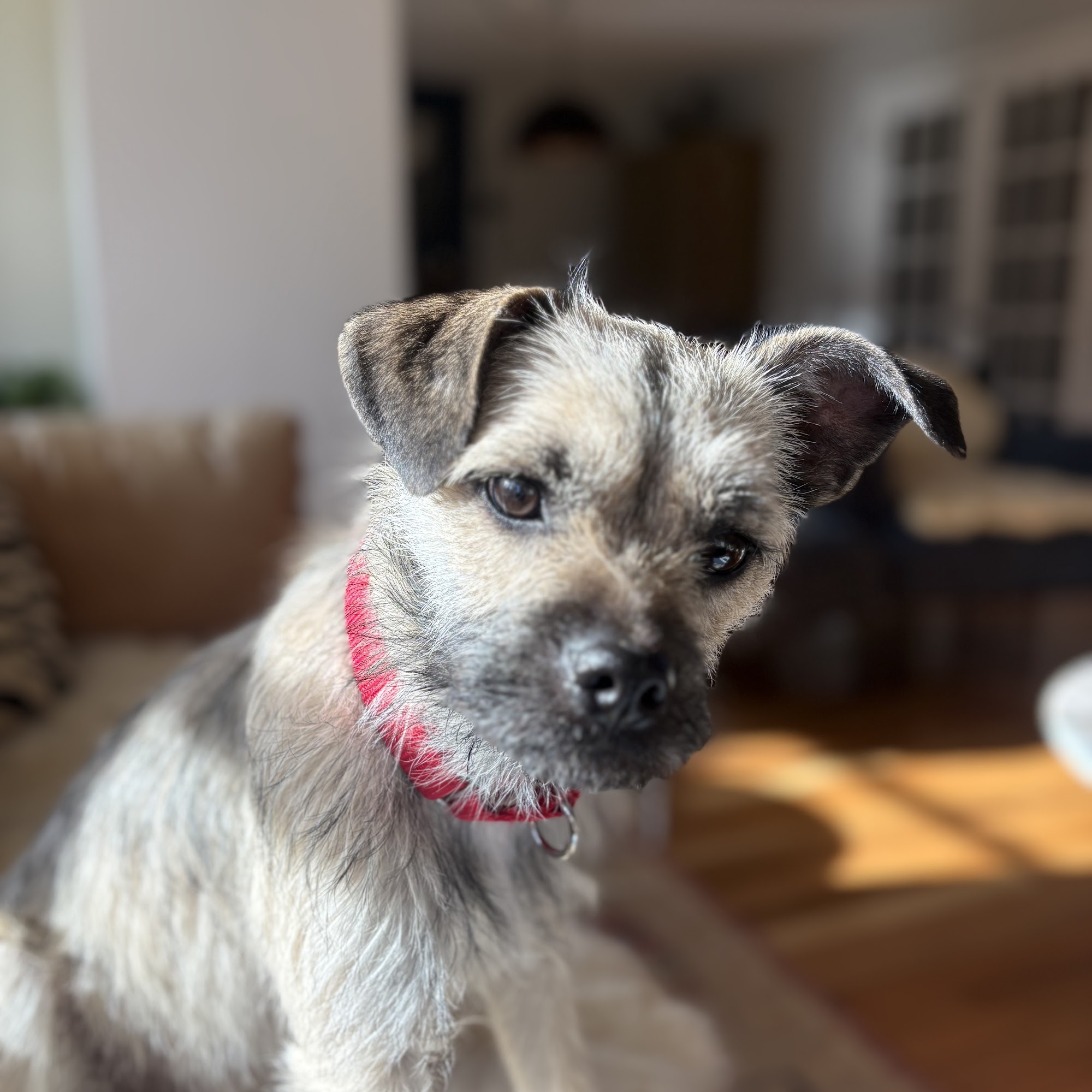 Holden Veterinary Clinic, A Thrive Pet Healthcare Partner Holden