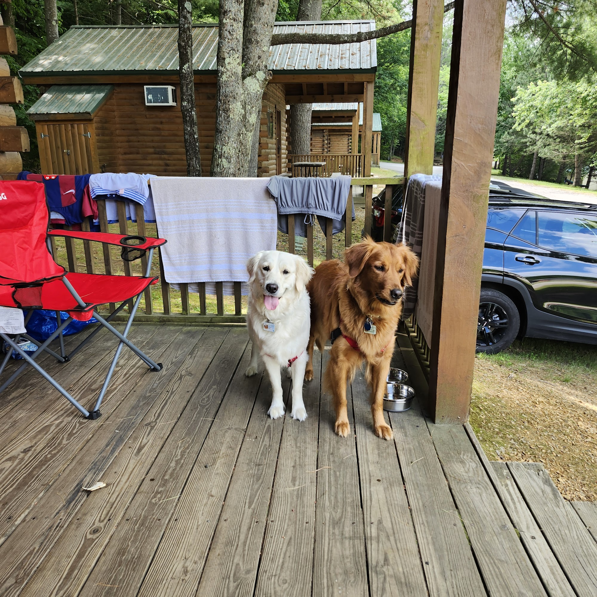 New England K-9 School for dogs Hopkinton