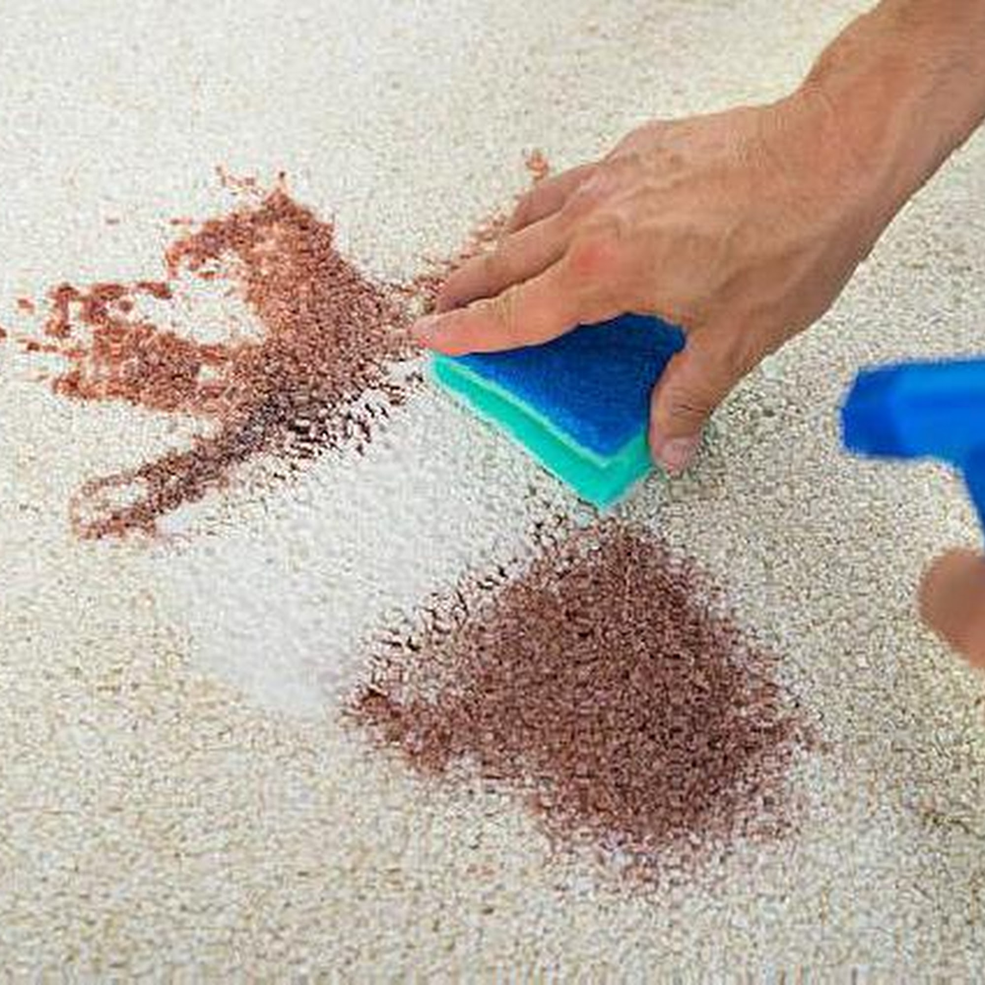 Kandel Carpet And Upholstery Cleaning