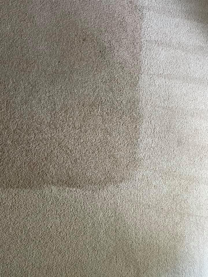 Kandel Carpet And Upholstery Cleaning