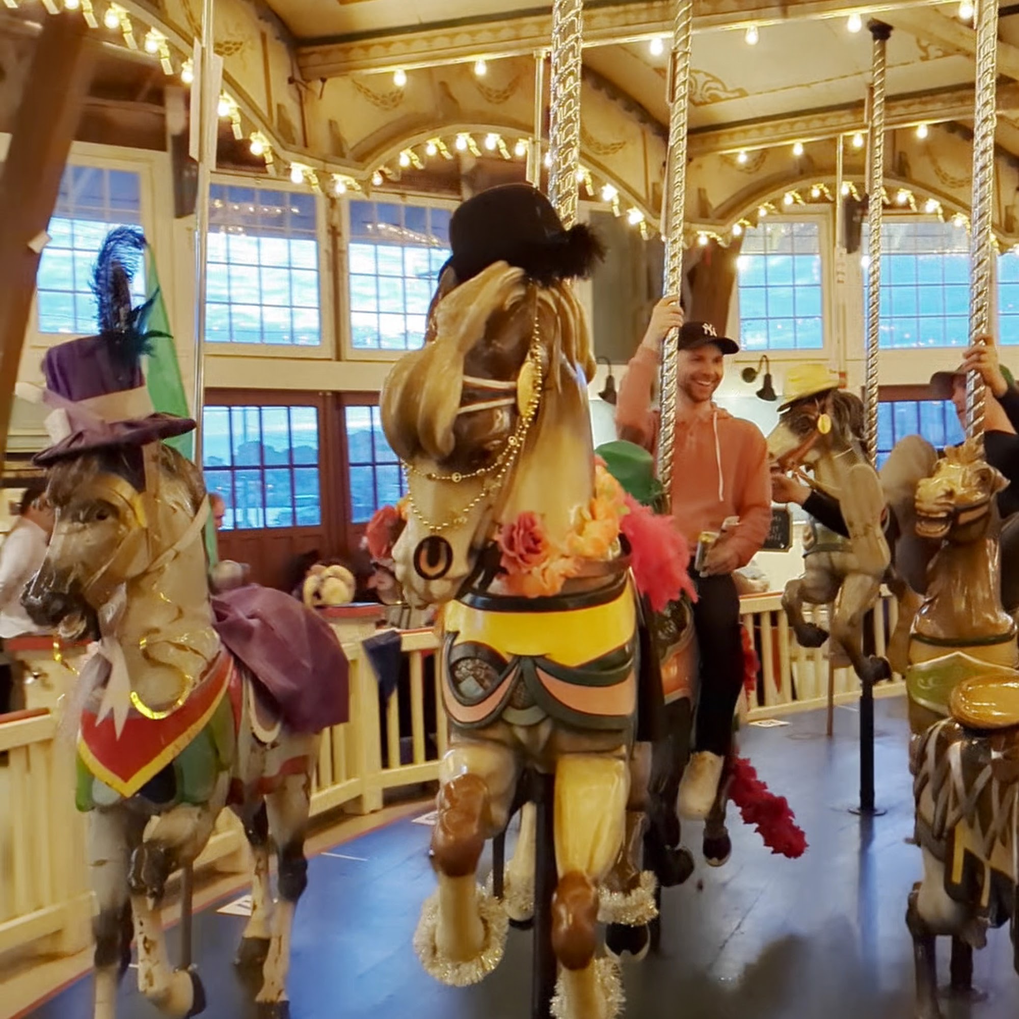 Friends of The Paragon Carousel Hull