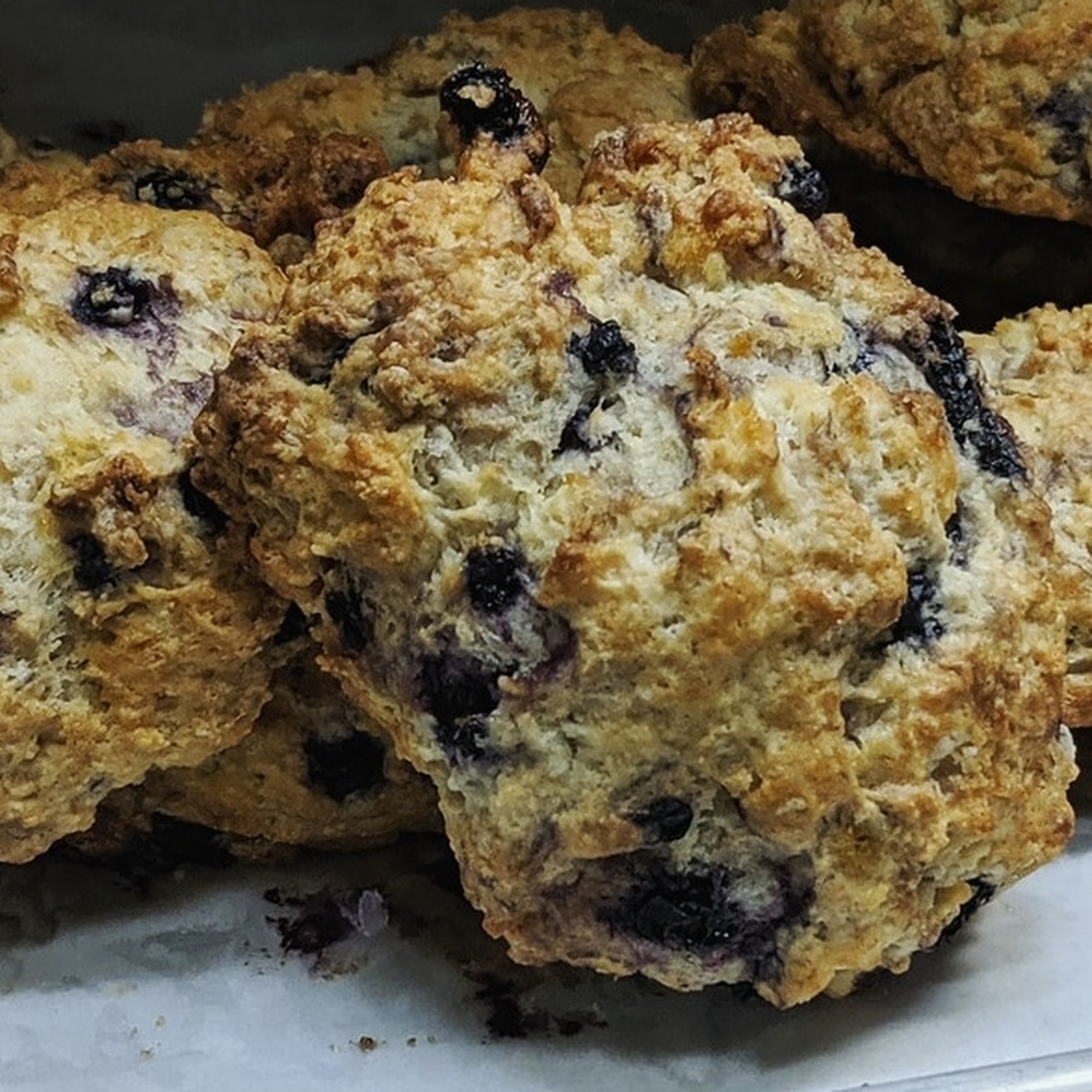 Ula Café Jamaica Plain