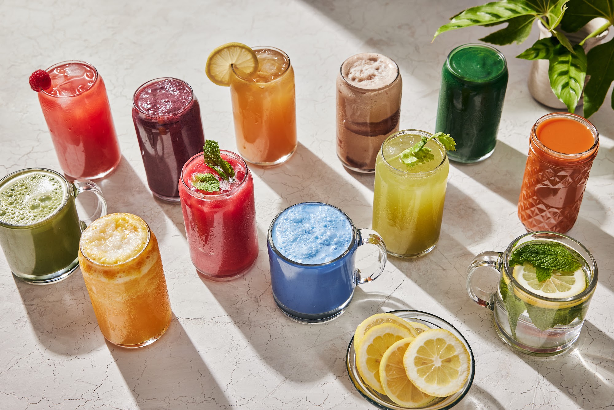 Life Alive Organic Cafe Jamaica Plain Jamaica Plain