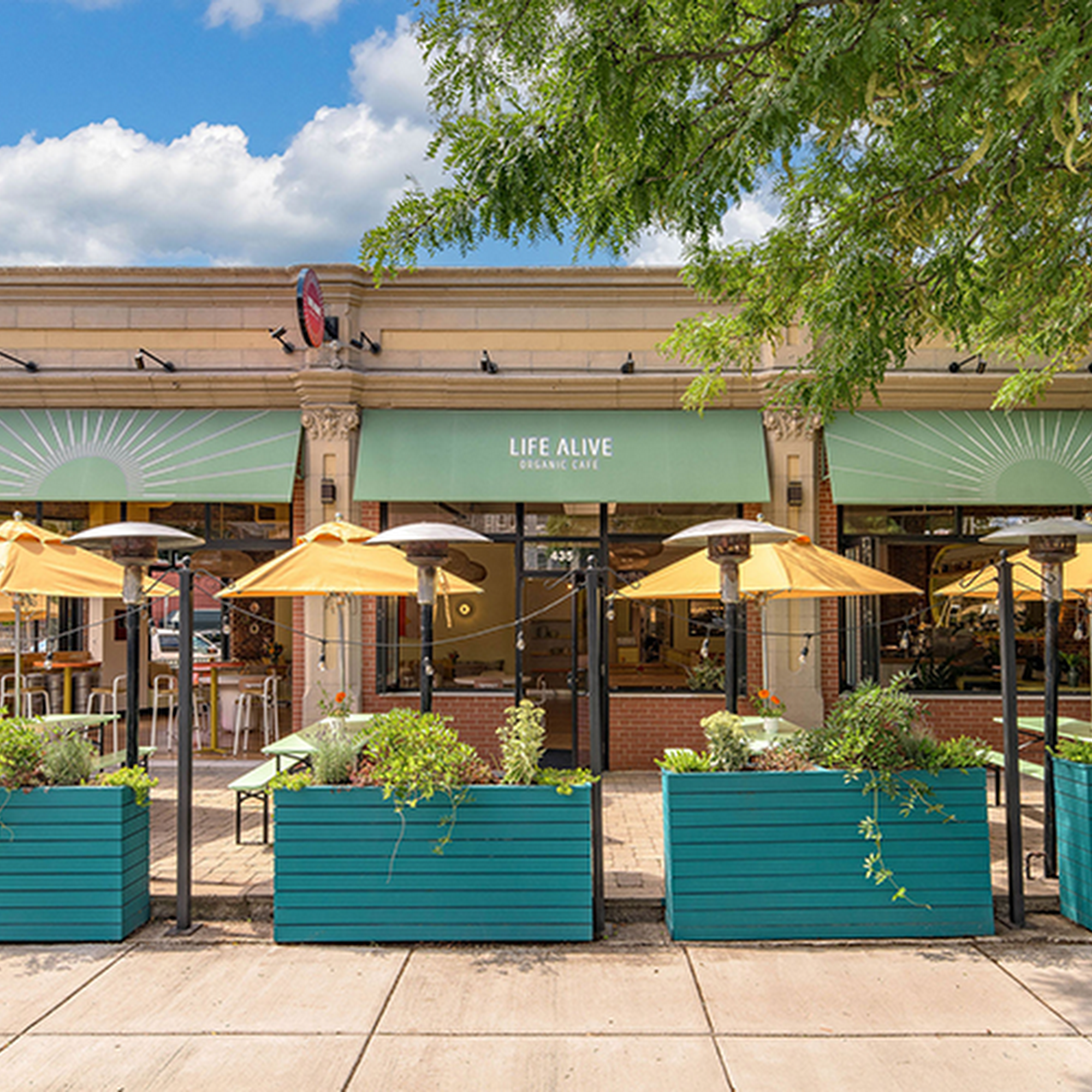 Life Alive Organic Cafe Jamaica Plain Jamaica Plain