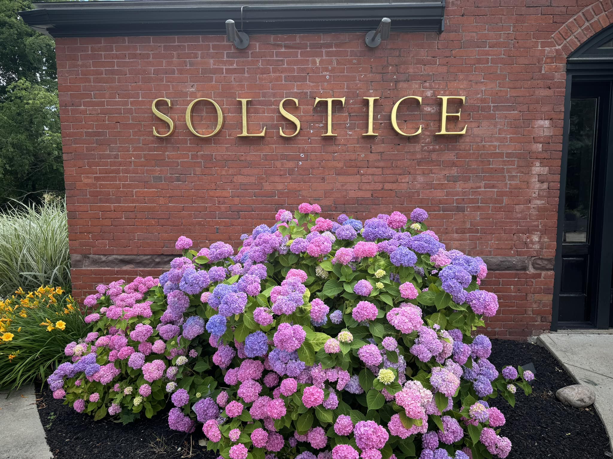 John T Cataldi Restaurant Inc