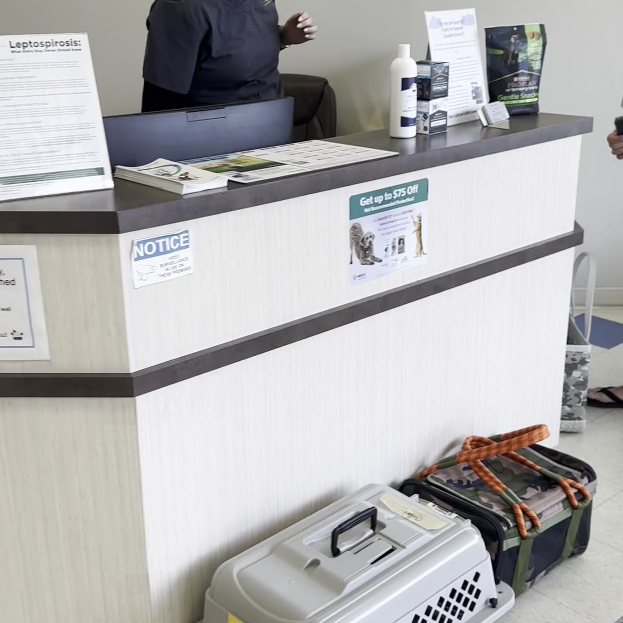 Morningstar Animal Hospital Kingston