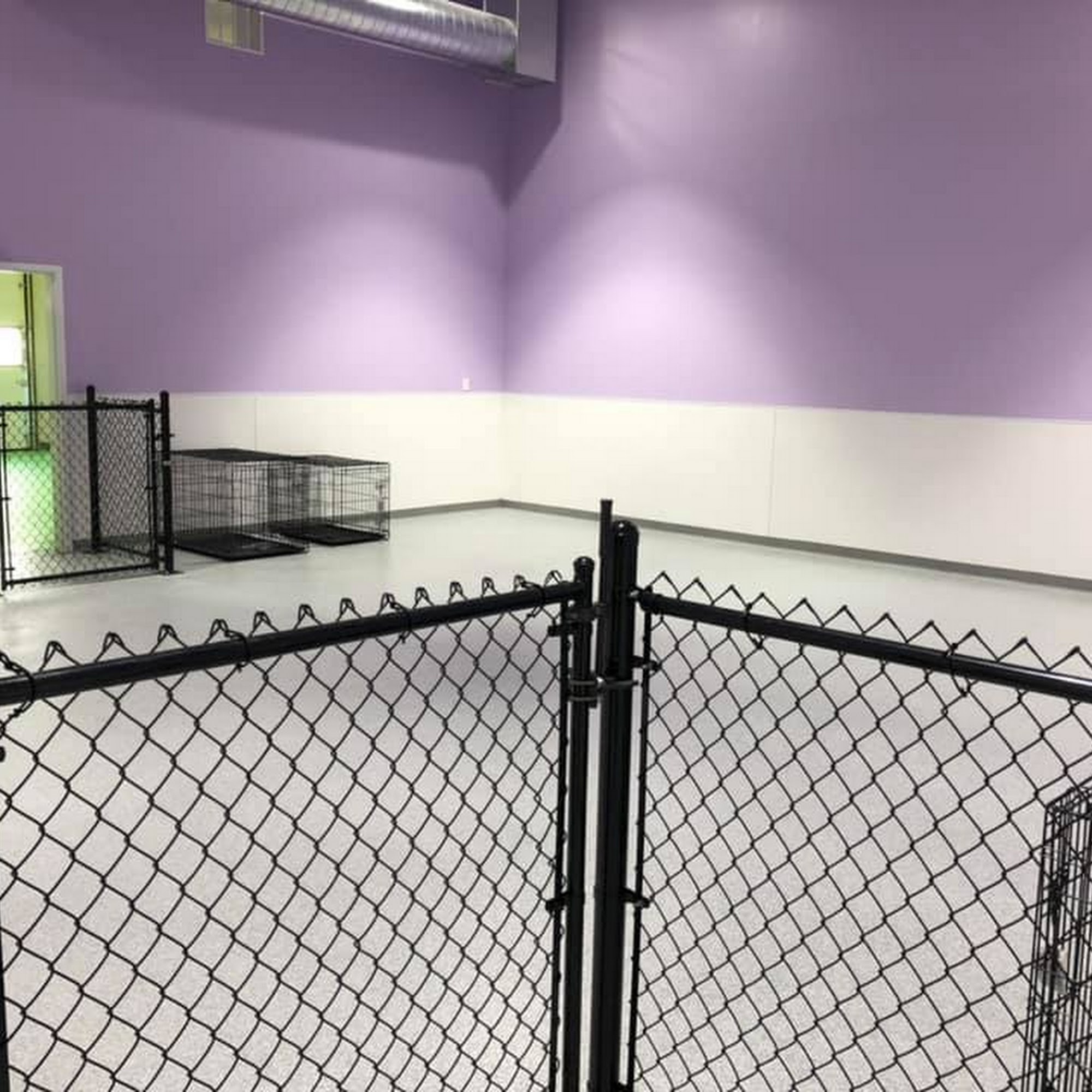 Emmy's Barking Lot Kingston