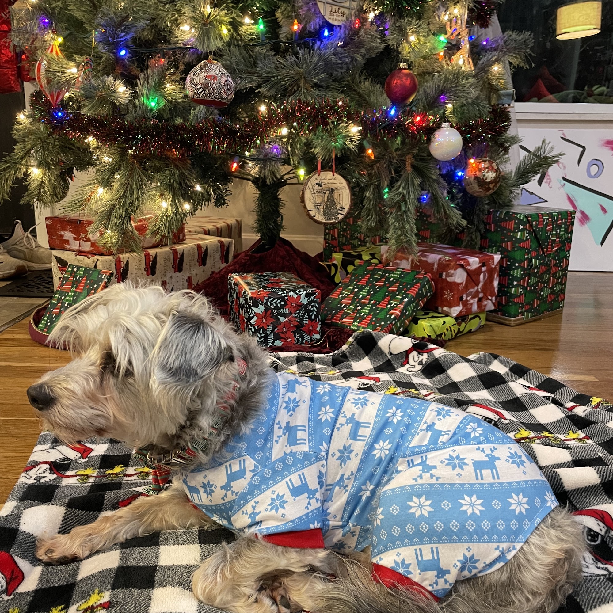 Seasons by 100 Discount Deals Kingston