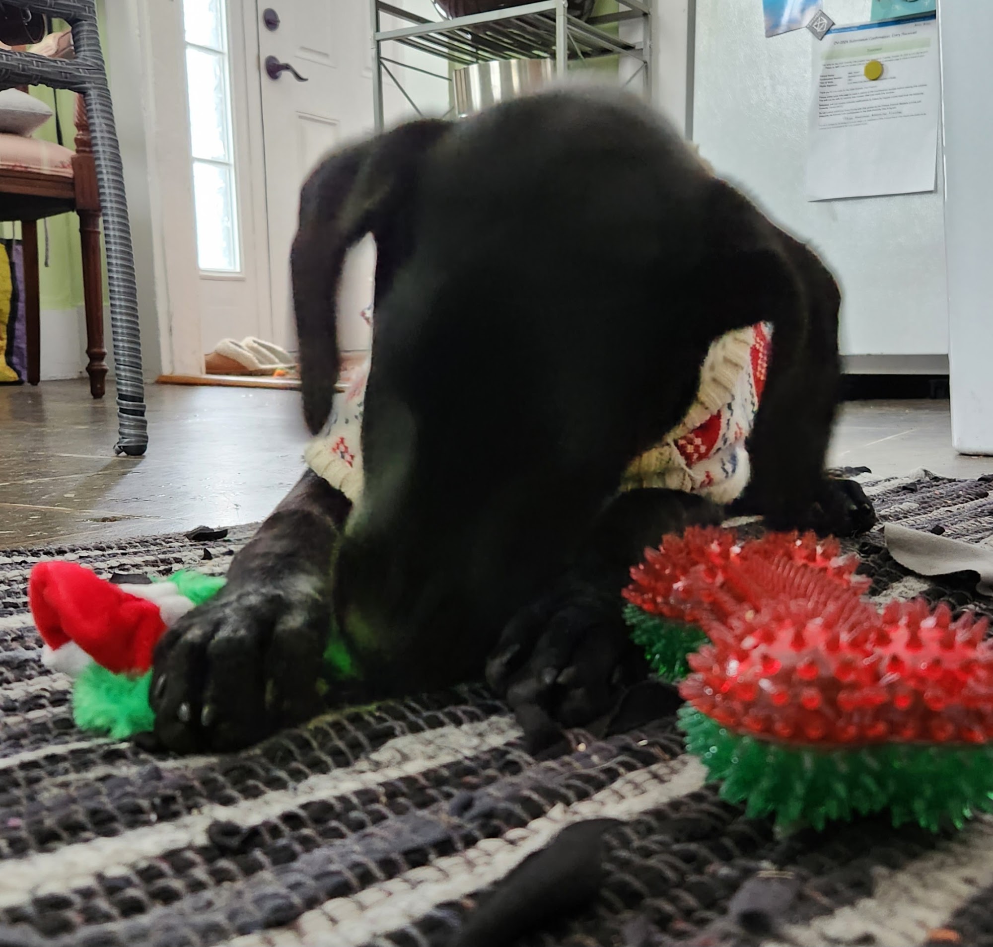 VCA Lancaster Animal Hospital Lancaster