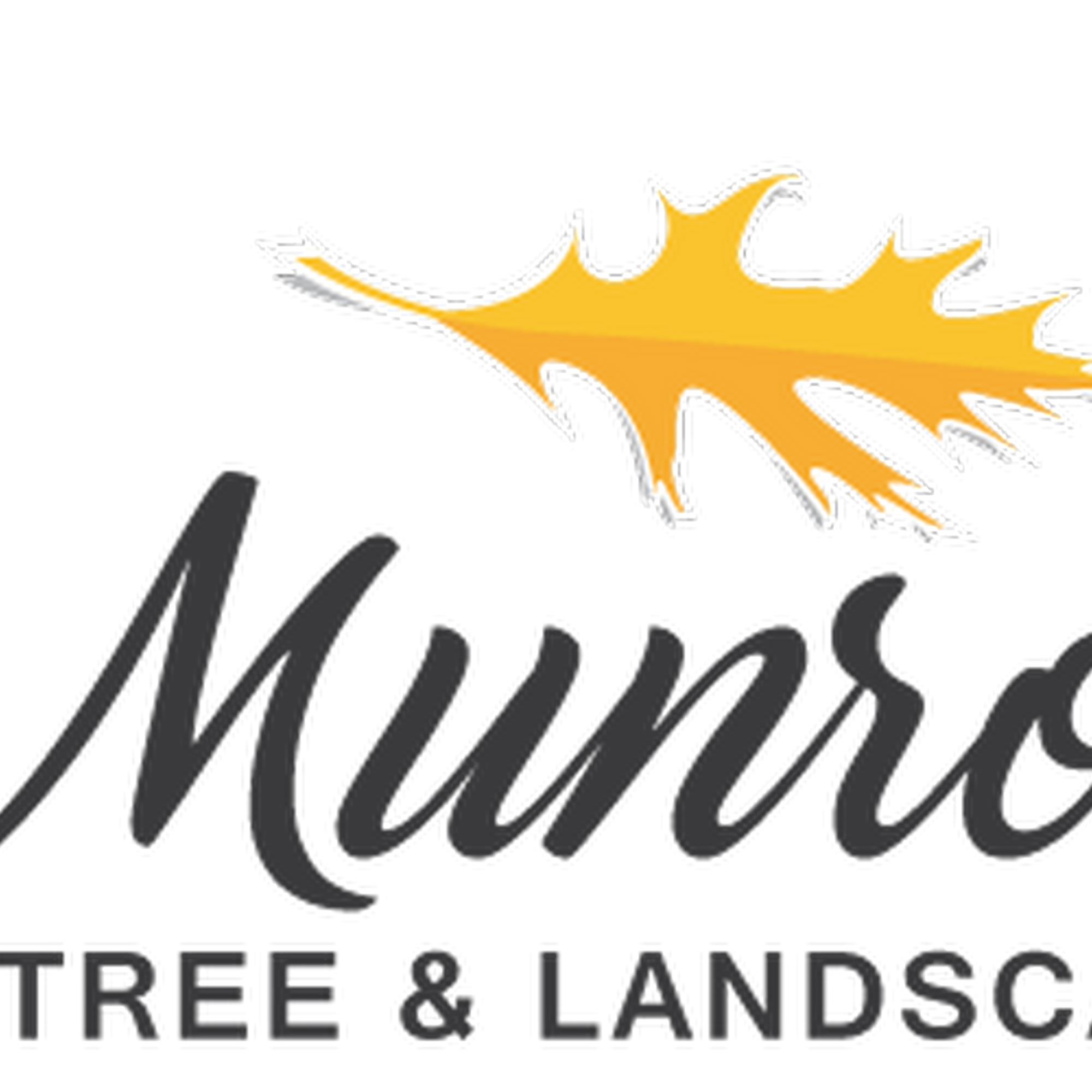 Munroe Tree & Landscape