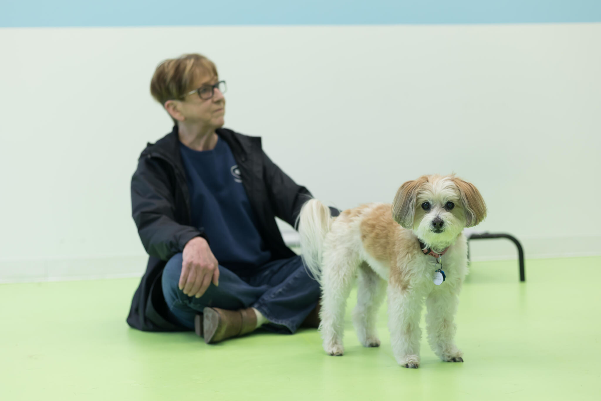 BARK AVENUE, LLC Lowell