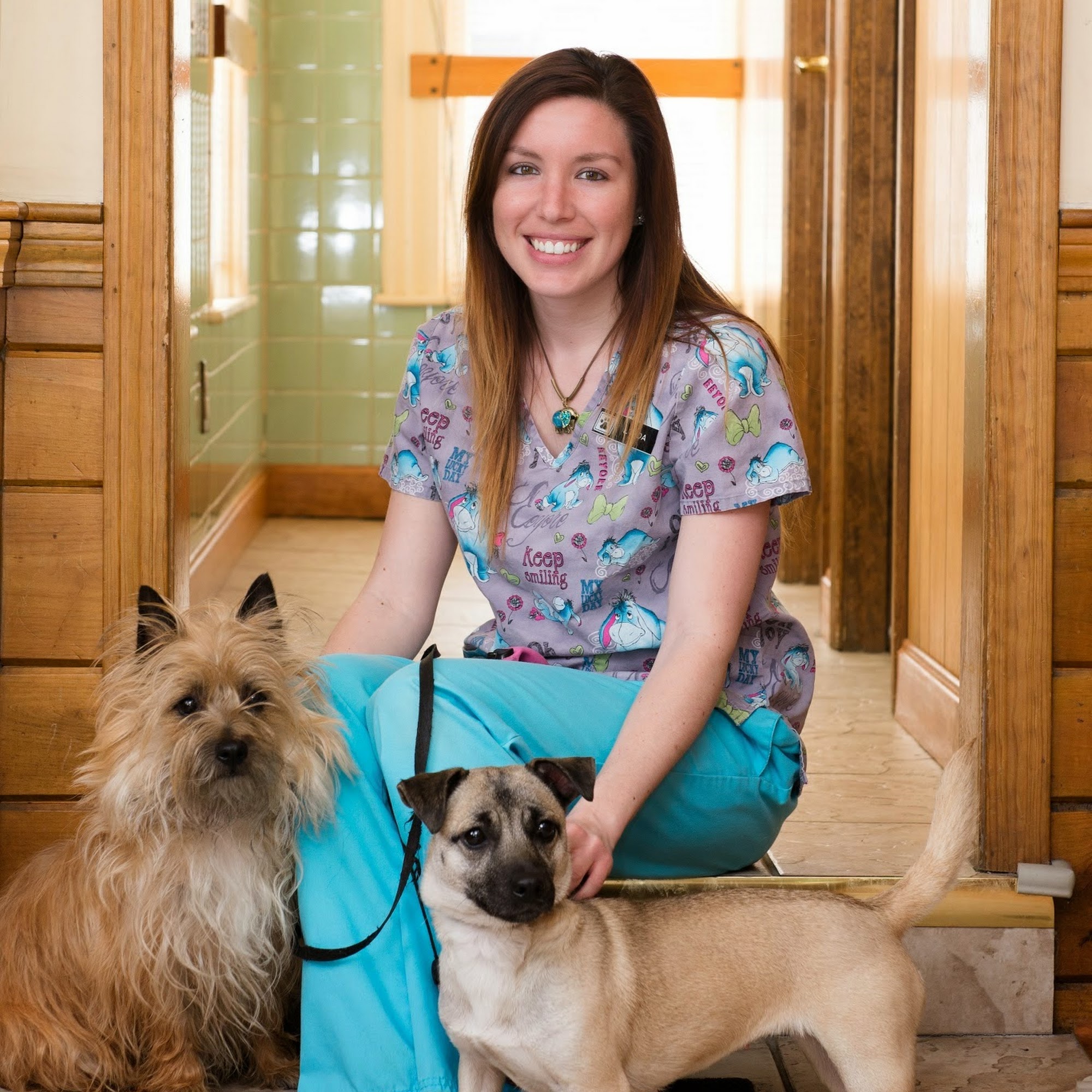 Linwood Animal Hospital Lowell