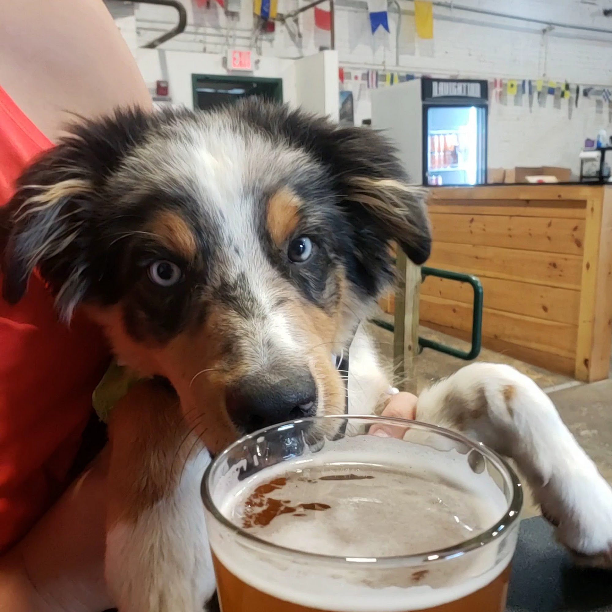 Navigation Brewing Co. Lowell