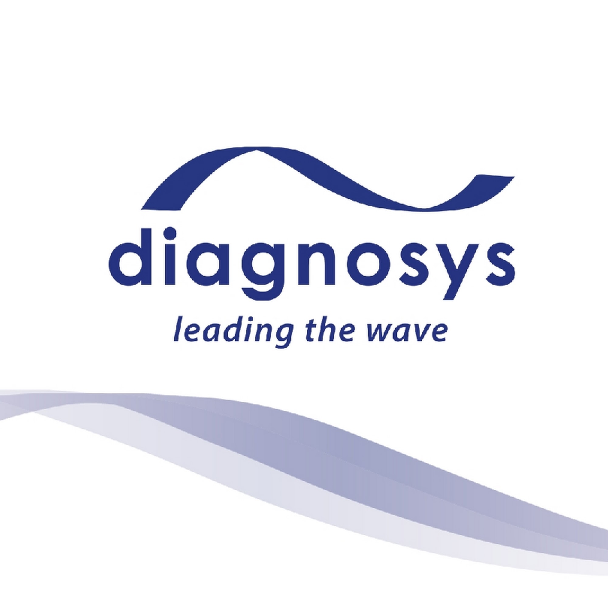 Diagnosys LLC Lowell